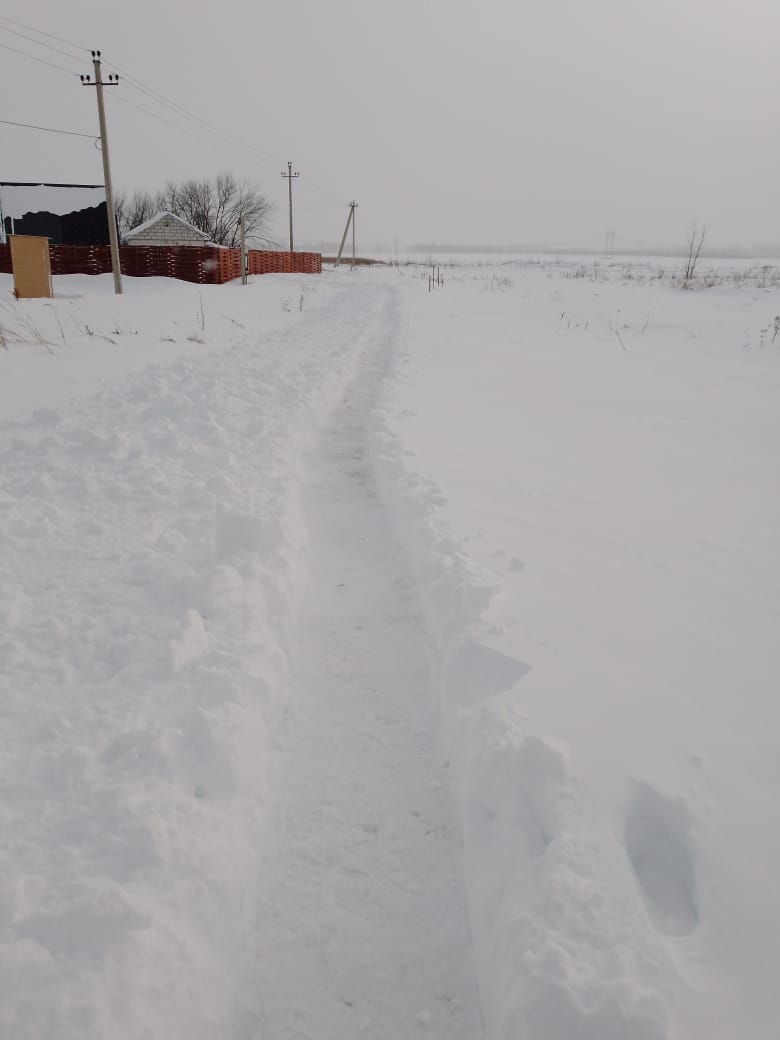 Фото Шишкин Афрейм