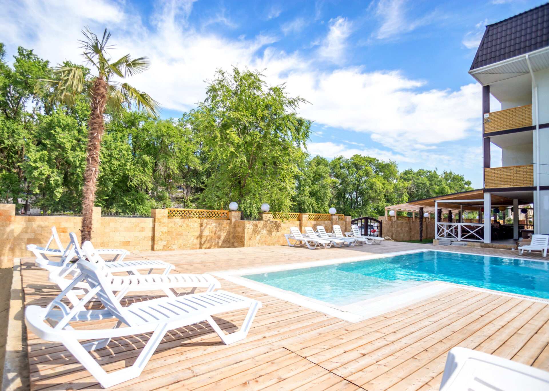 Фото Дублин Дельфин