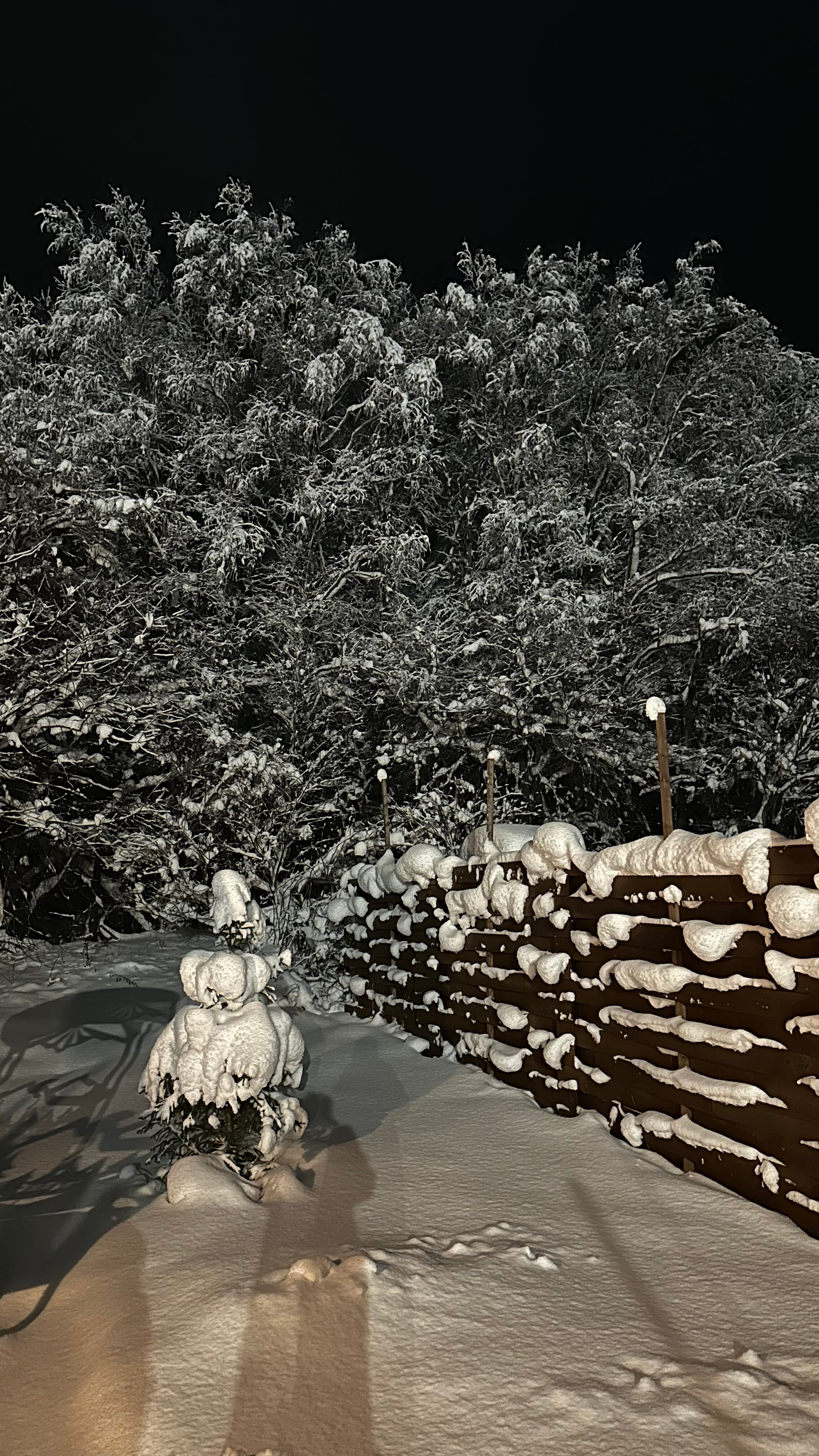 Фото Место Силы