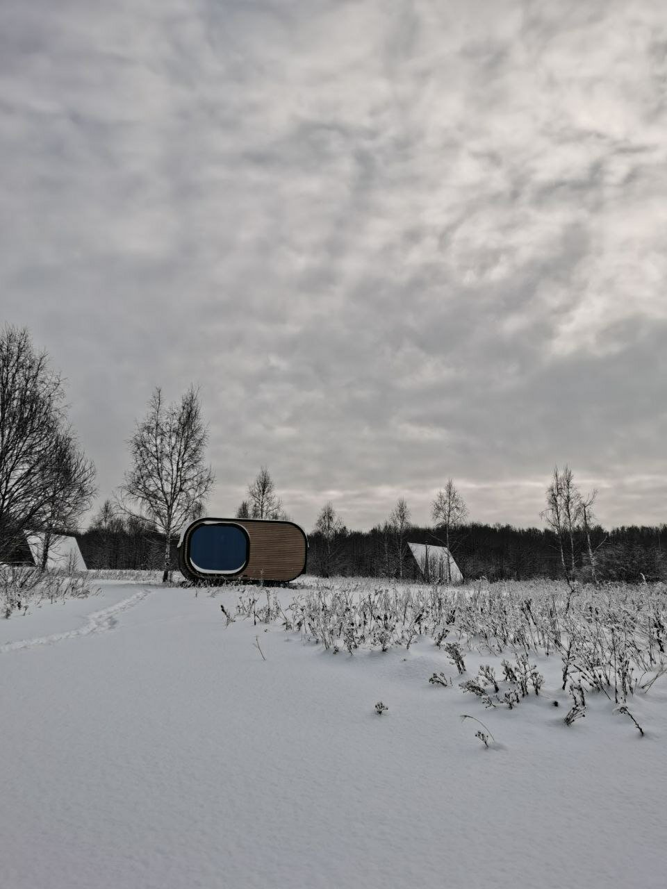 Фото Просто Cosmos