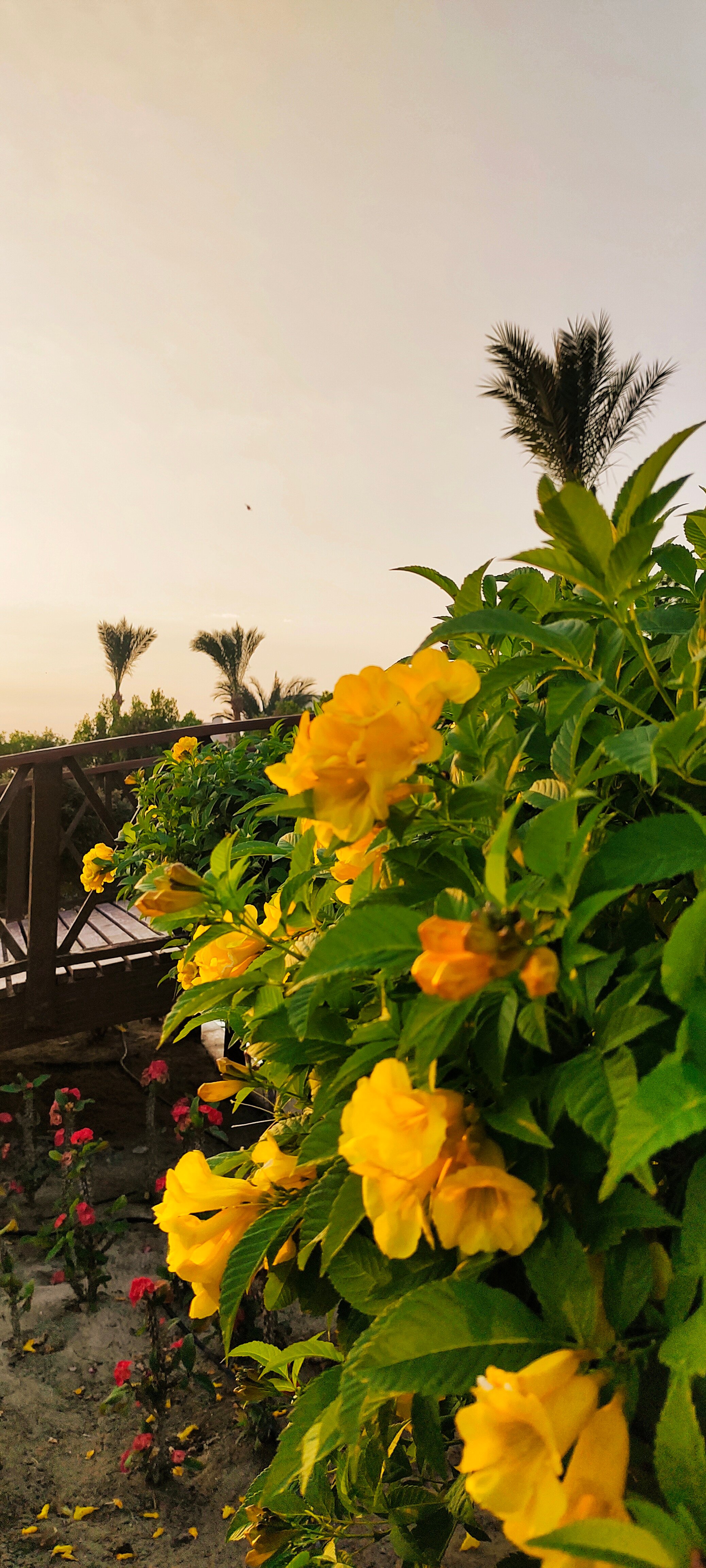 Фото Blend Club Aqua Resort