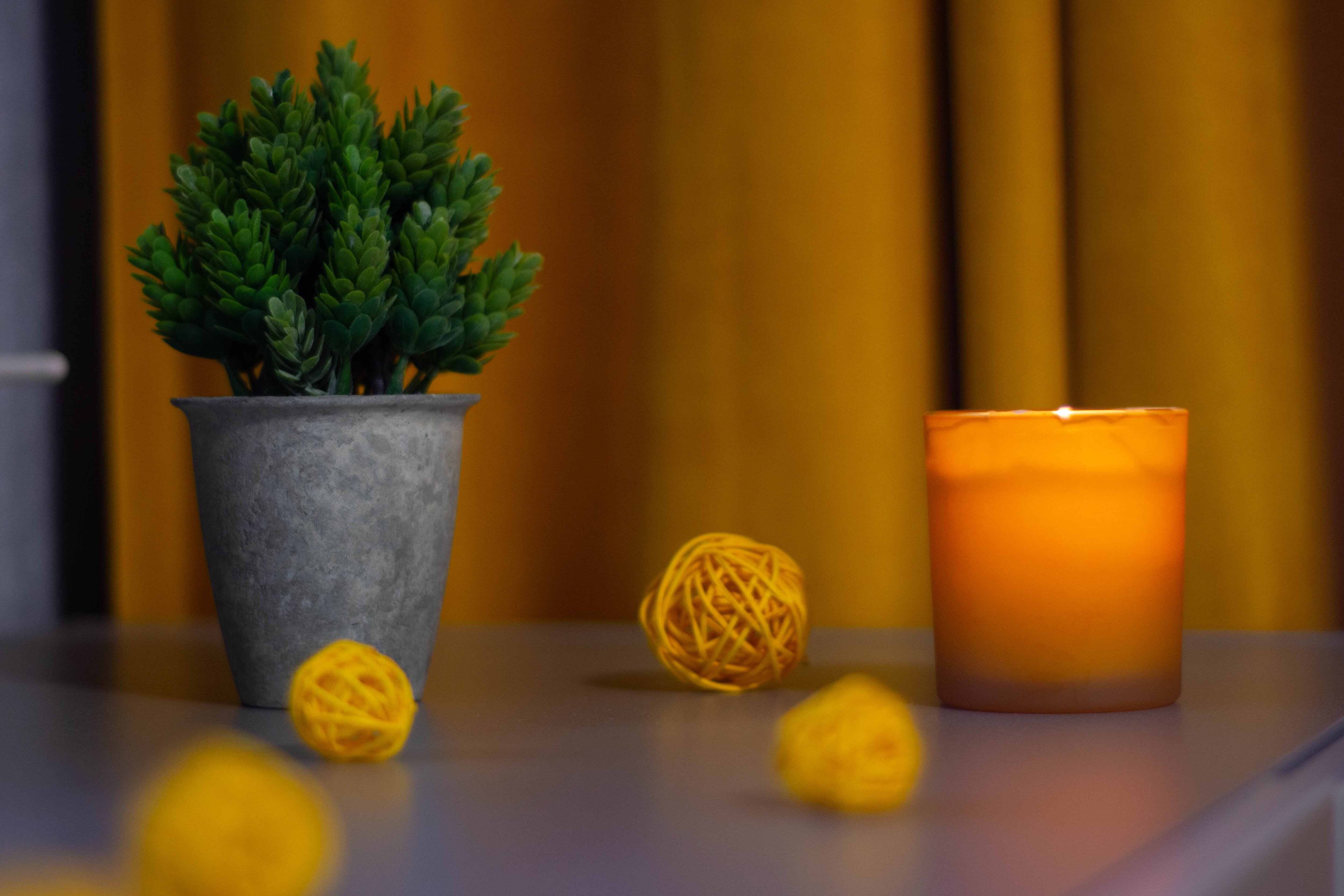 Фото Лермонт