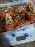 Вкус 90-х (Kharkovskoye shosse, 34) ، متجر بيع البيرة