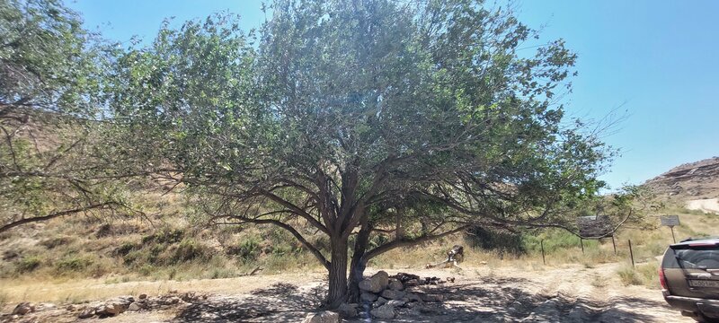 Ford Transit Connect әйнек тазалағыш тұтқасы