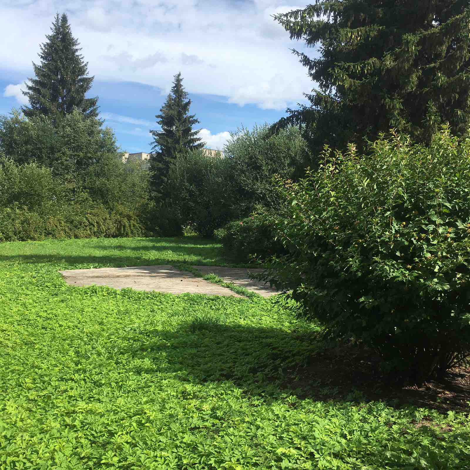 Фото Сапфир