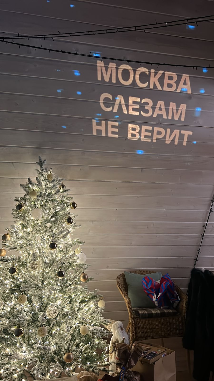 Фото Лес и небо