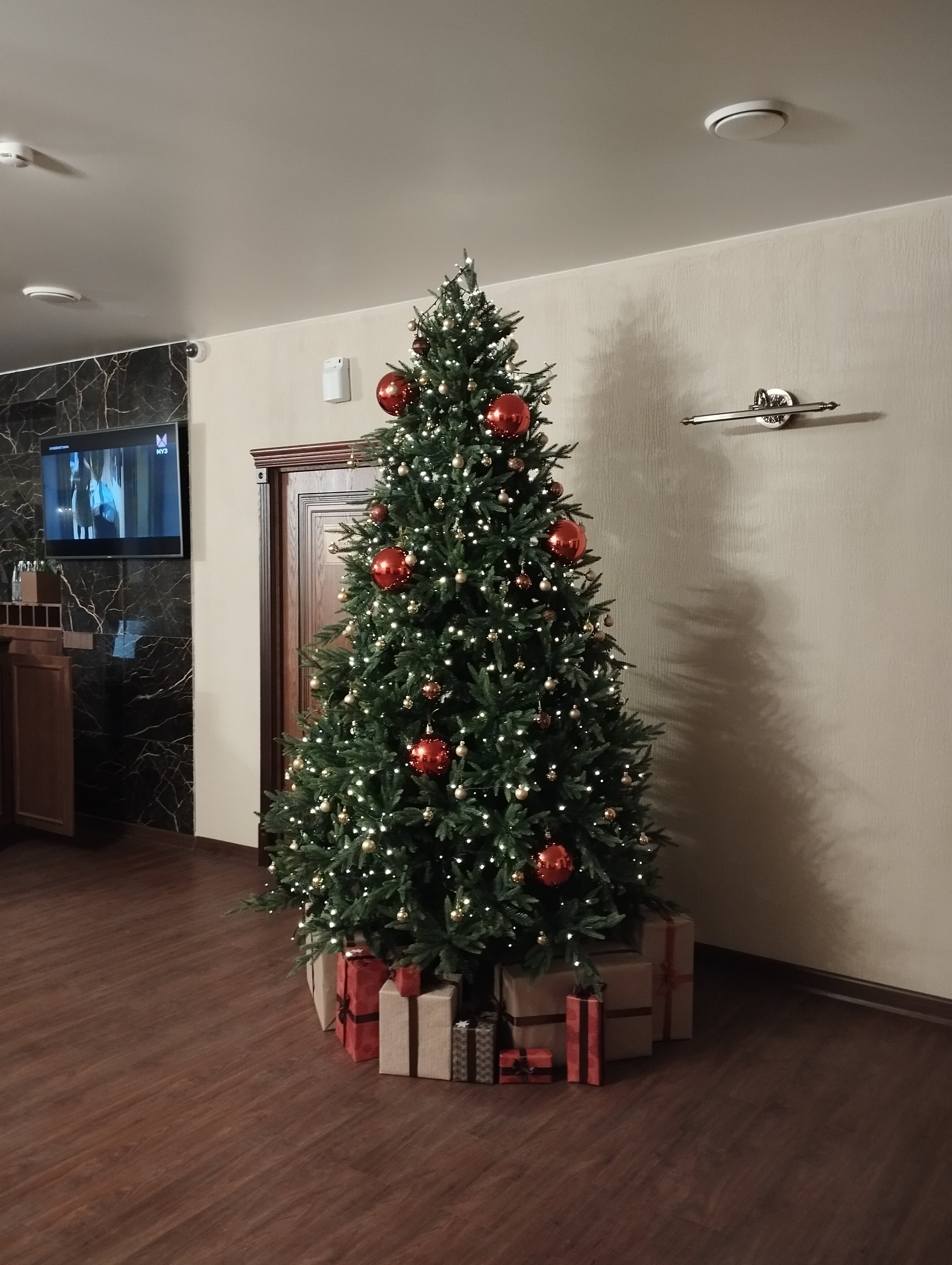 Фото Честер