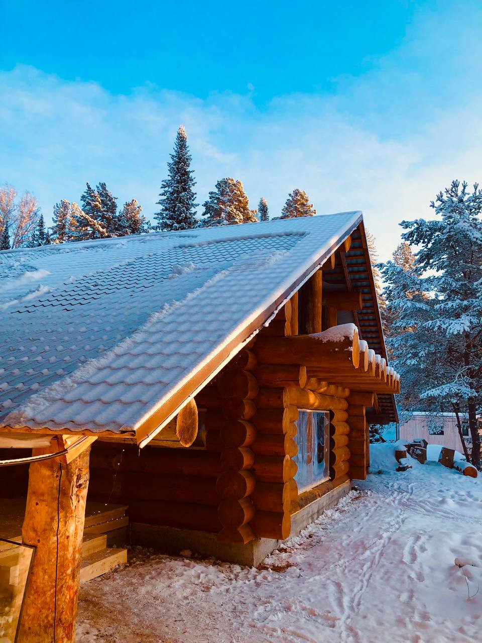 Фото Телецкое золотое