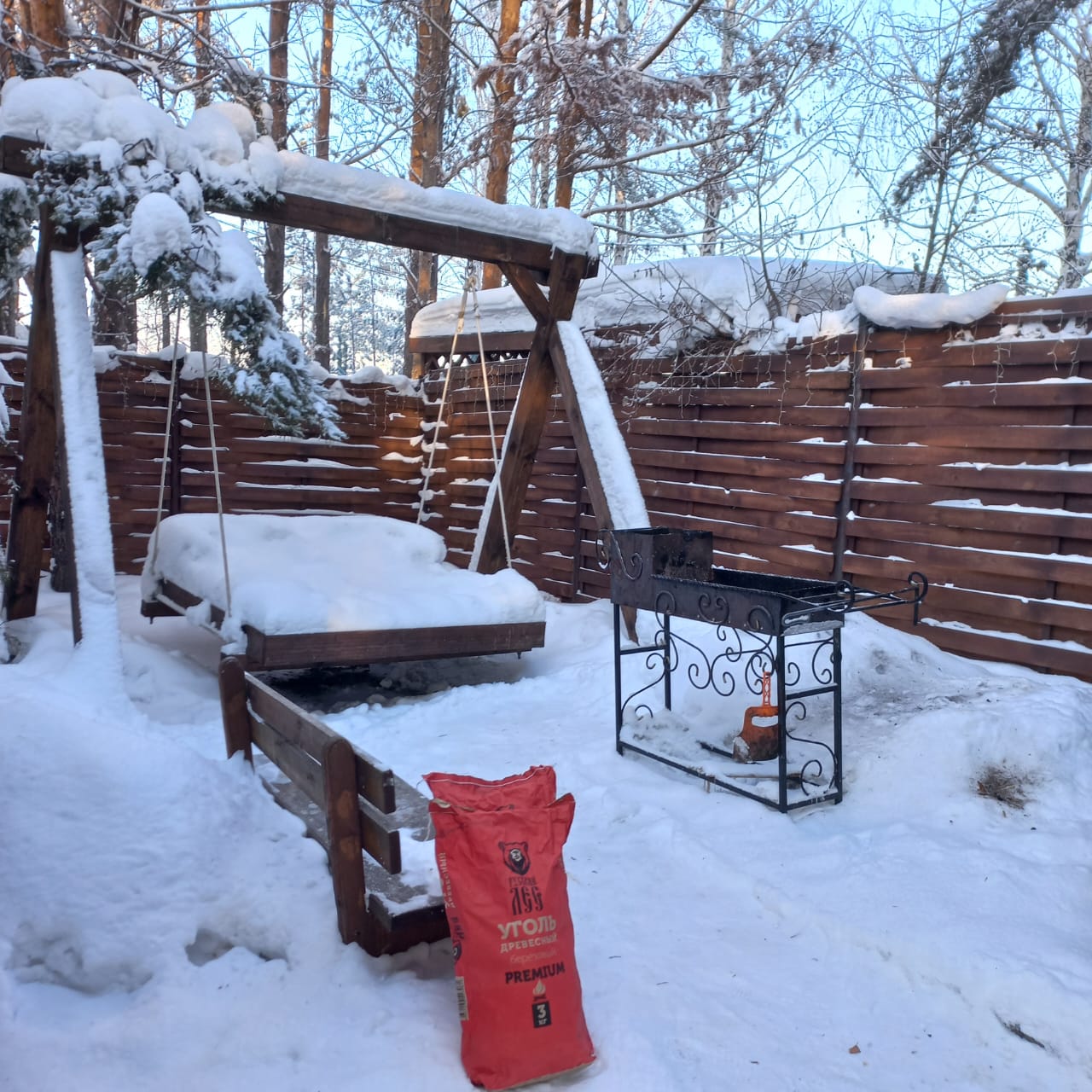 Фото Магия леса