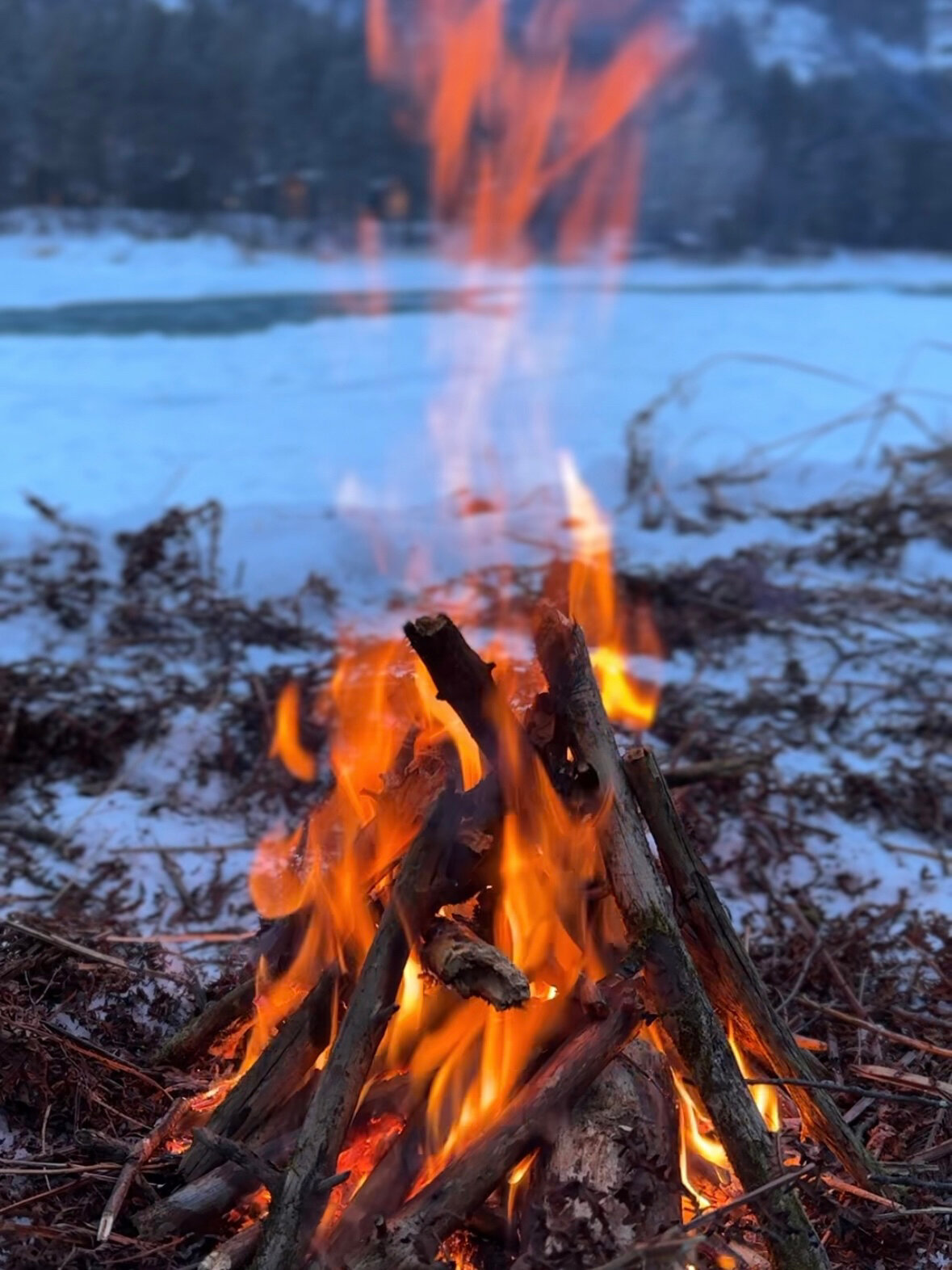 Фото Дом на берегу