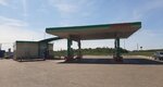 Zilant (Republic of Tatarstan, posyolok gorodskogo tipa Alekseyevskoye, R-239, 94-y kilometr), gas station