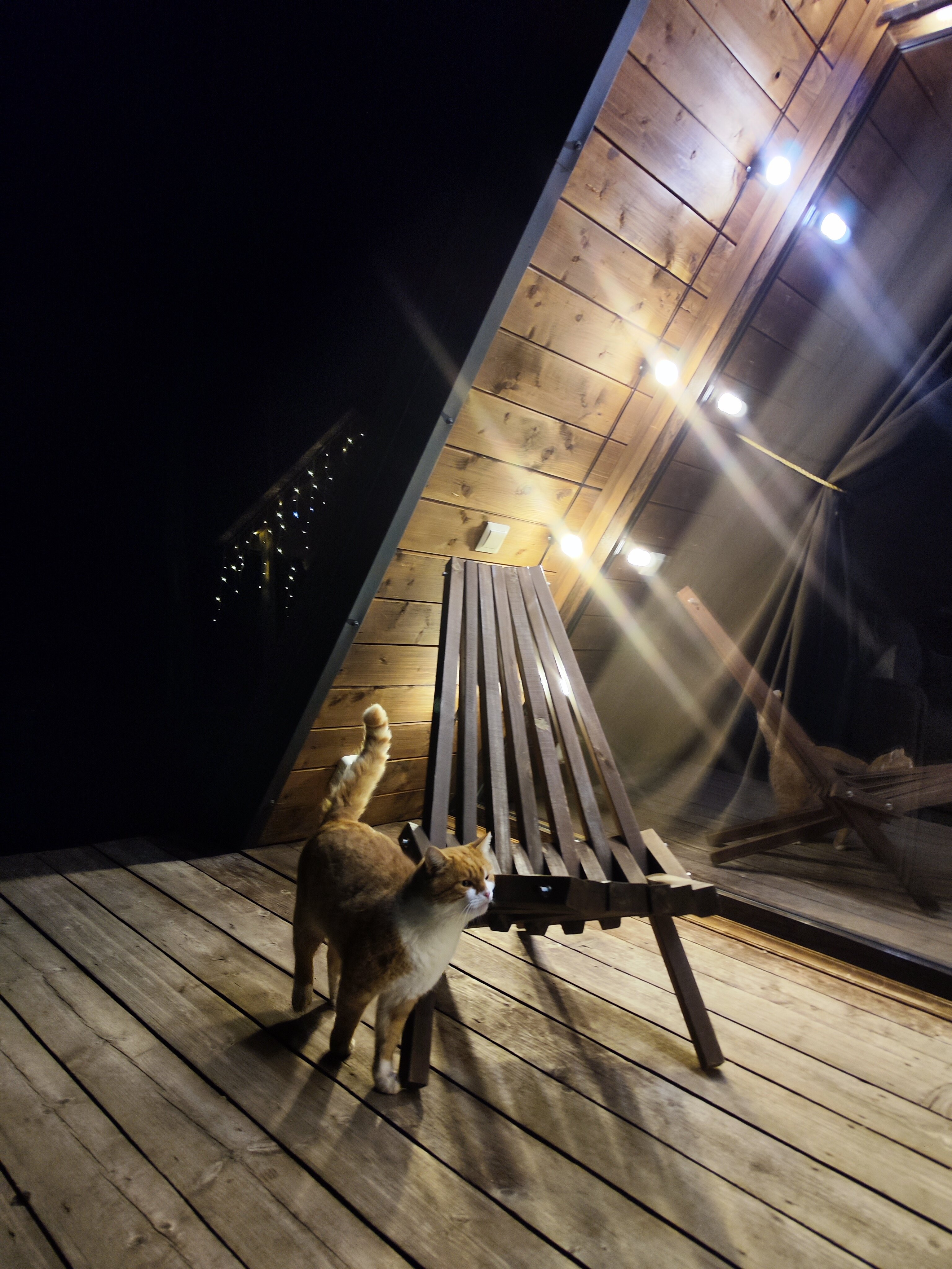 Фото Тайна Гор