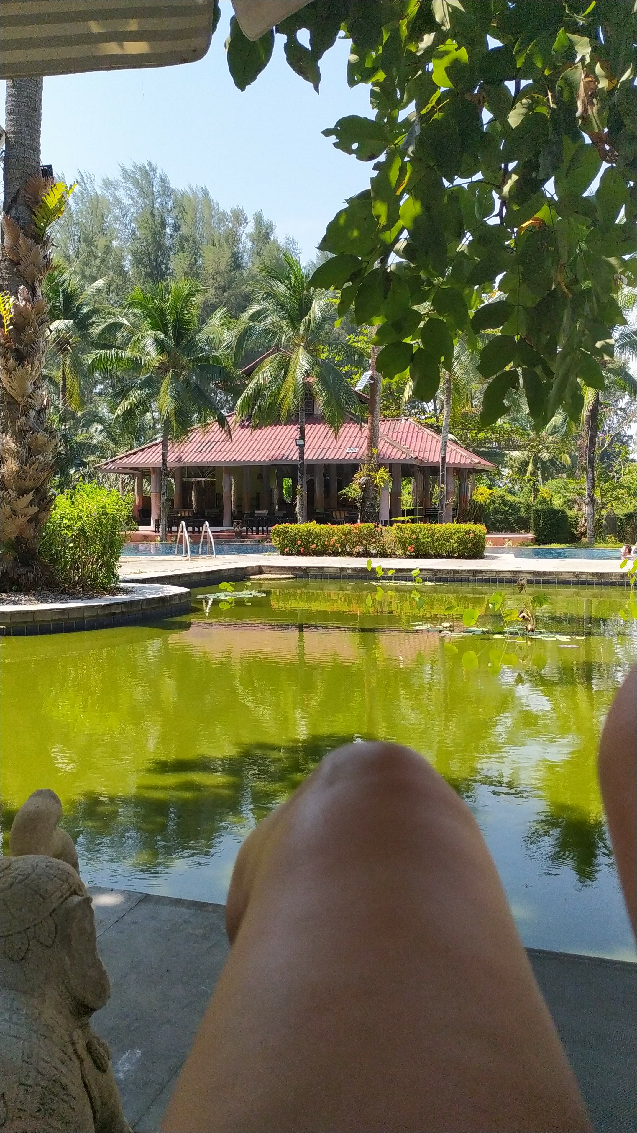 Фото Palm Galleria Resort