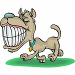 Ваш Доктор (микрорайон Новый город, Круторожная ул., 18), ветеринарная клиника в Орске