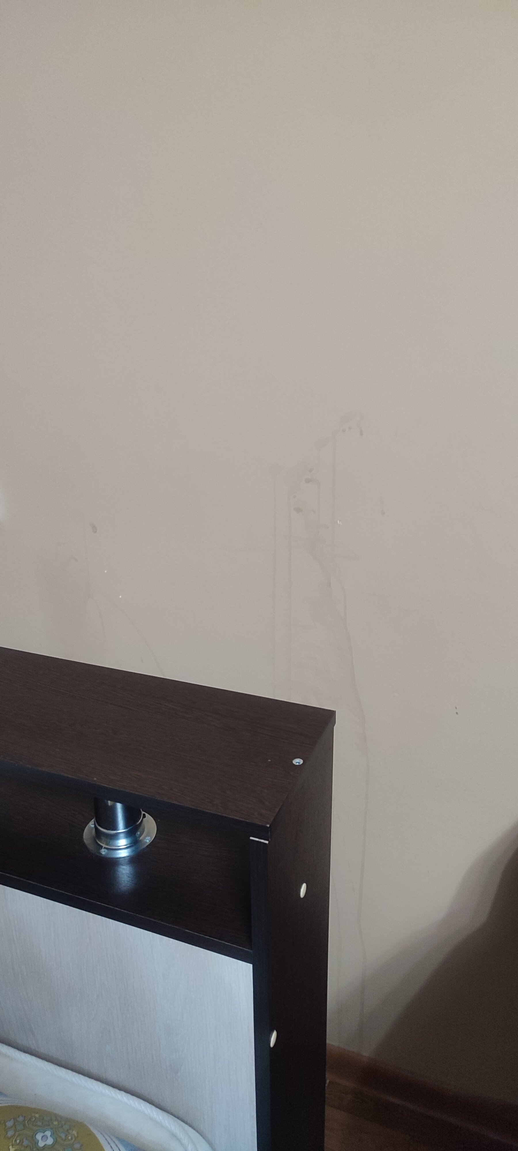 Фото Сюрприз на Яблочкова 31Ж 