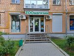Zoonom (Studencheskaya Street, 23), pet shop
