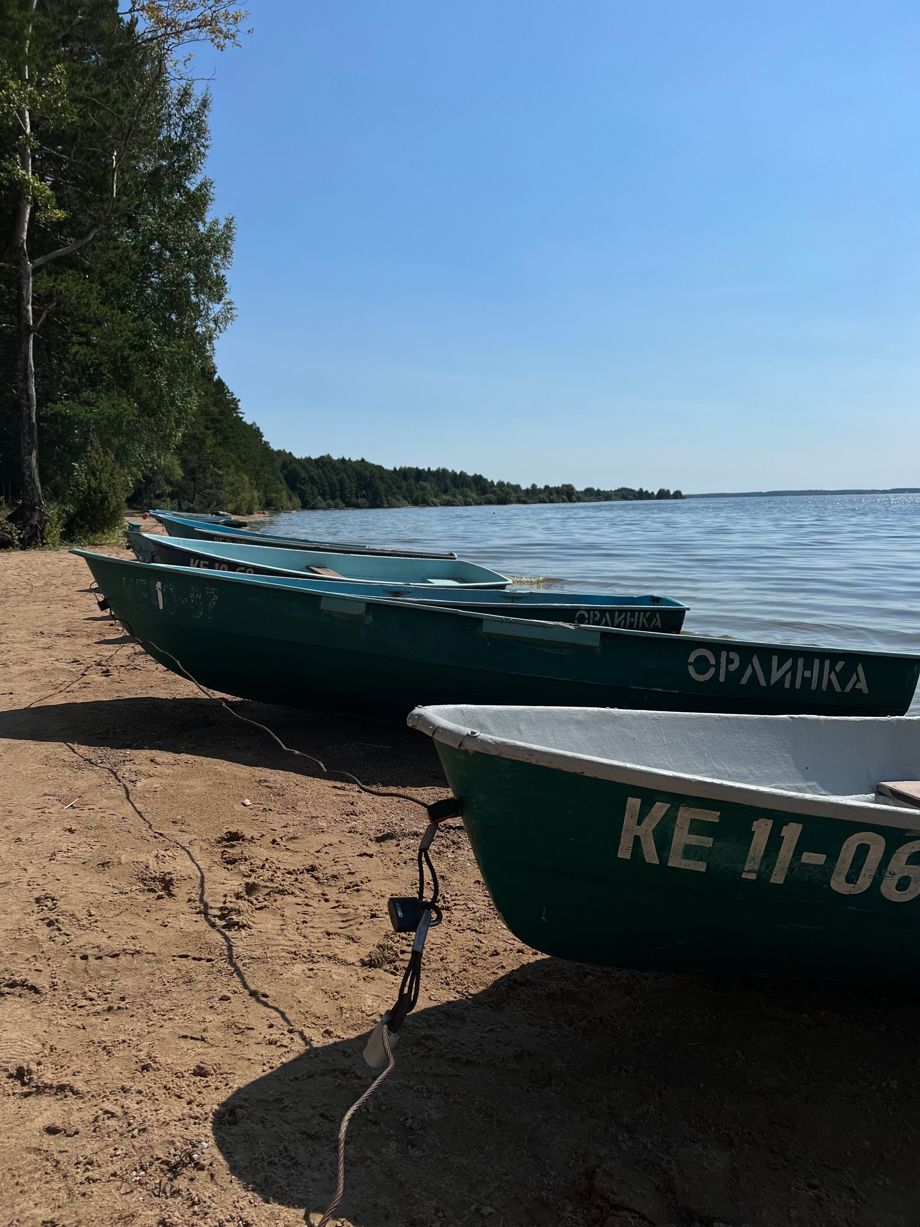 Фото Орлинка