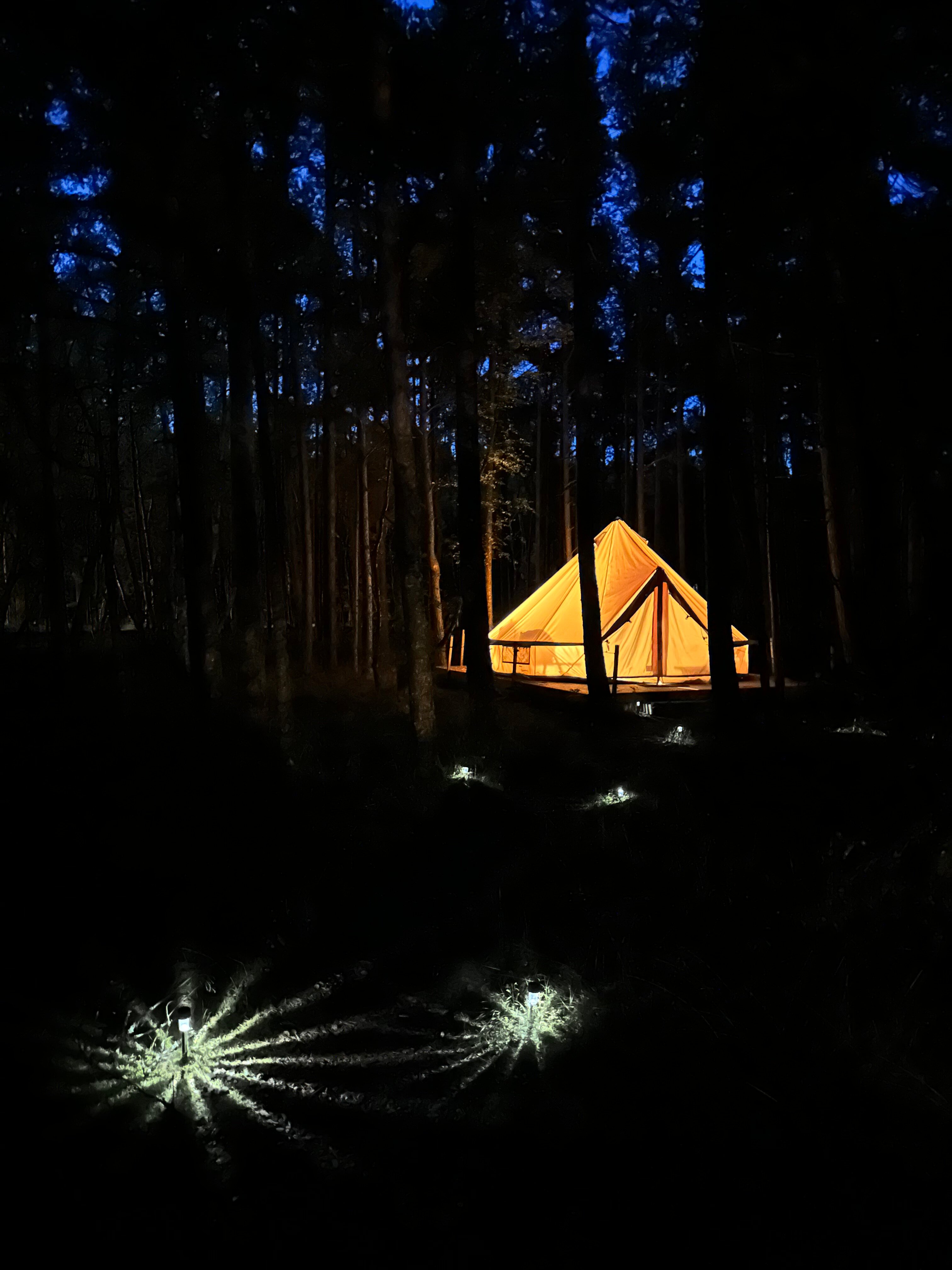 Фото Ecolodge Zen