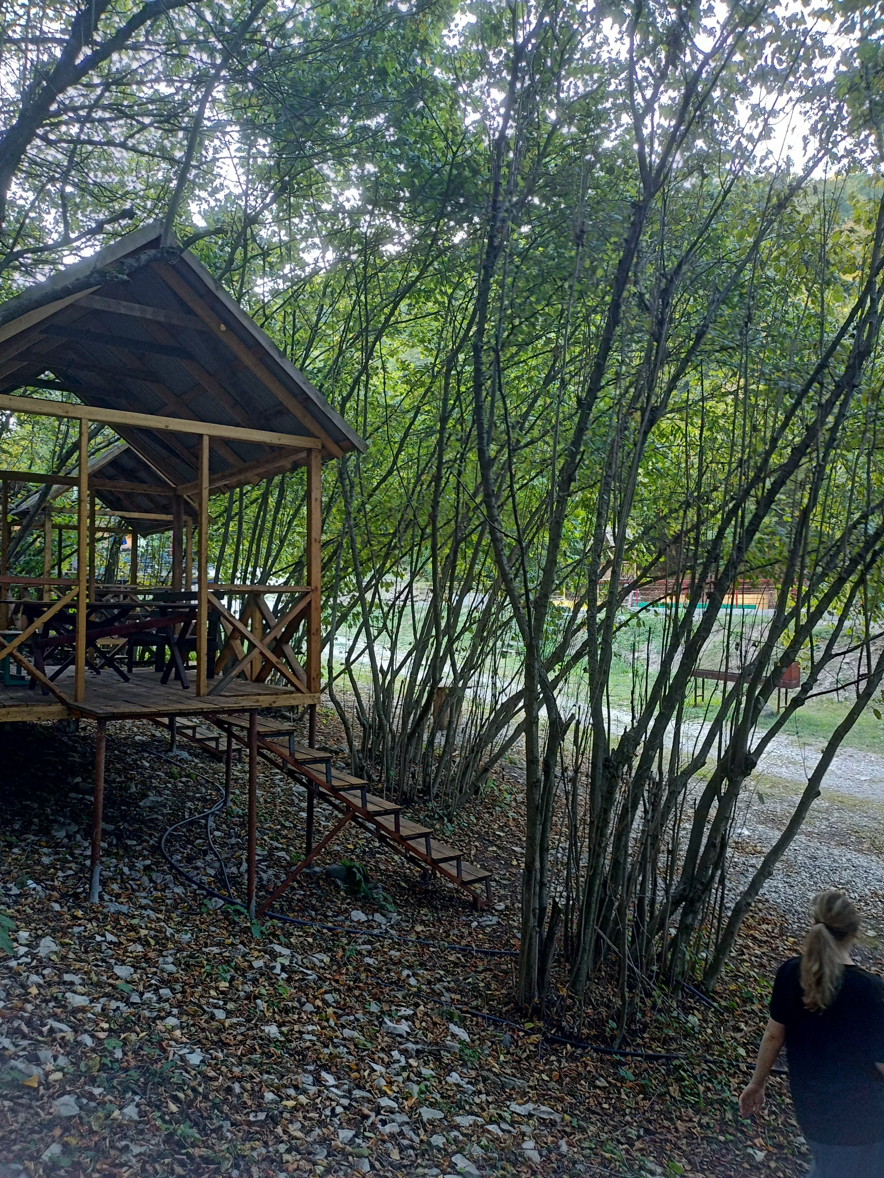 Фото БиоГорец