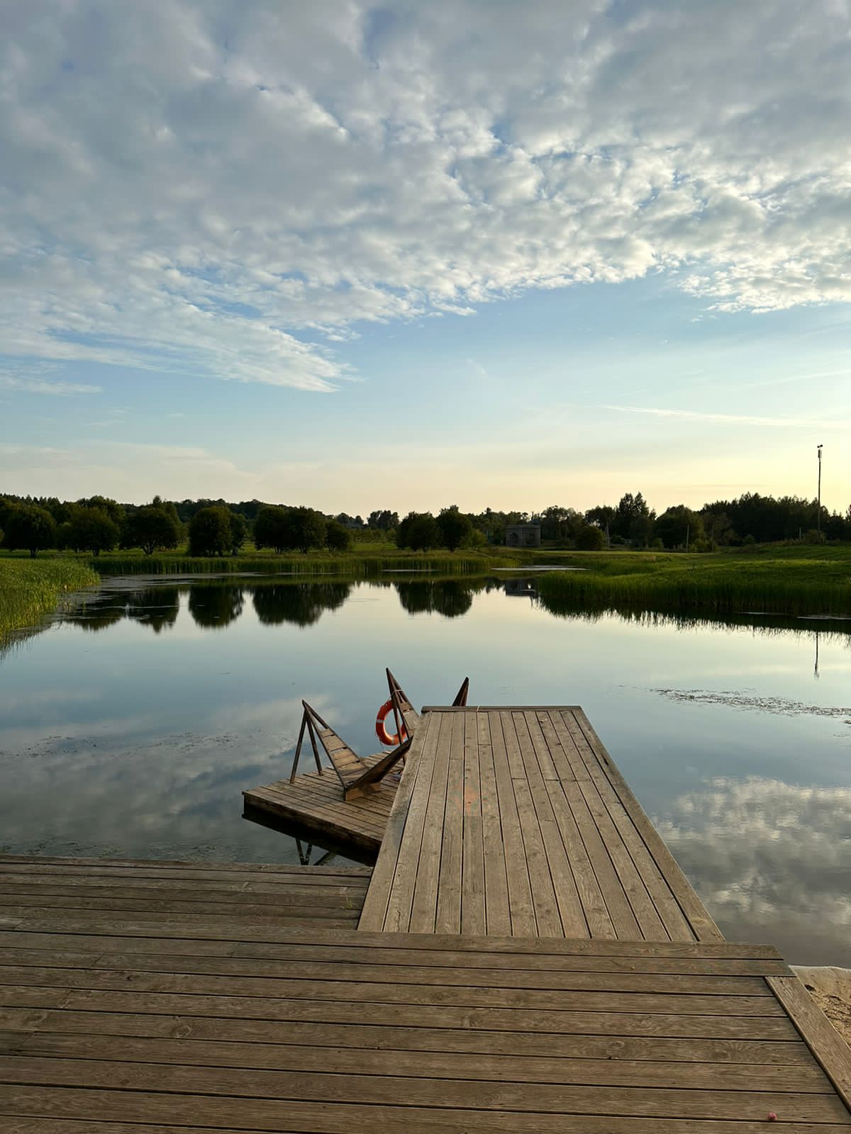 Фото Ясно Поле