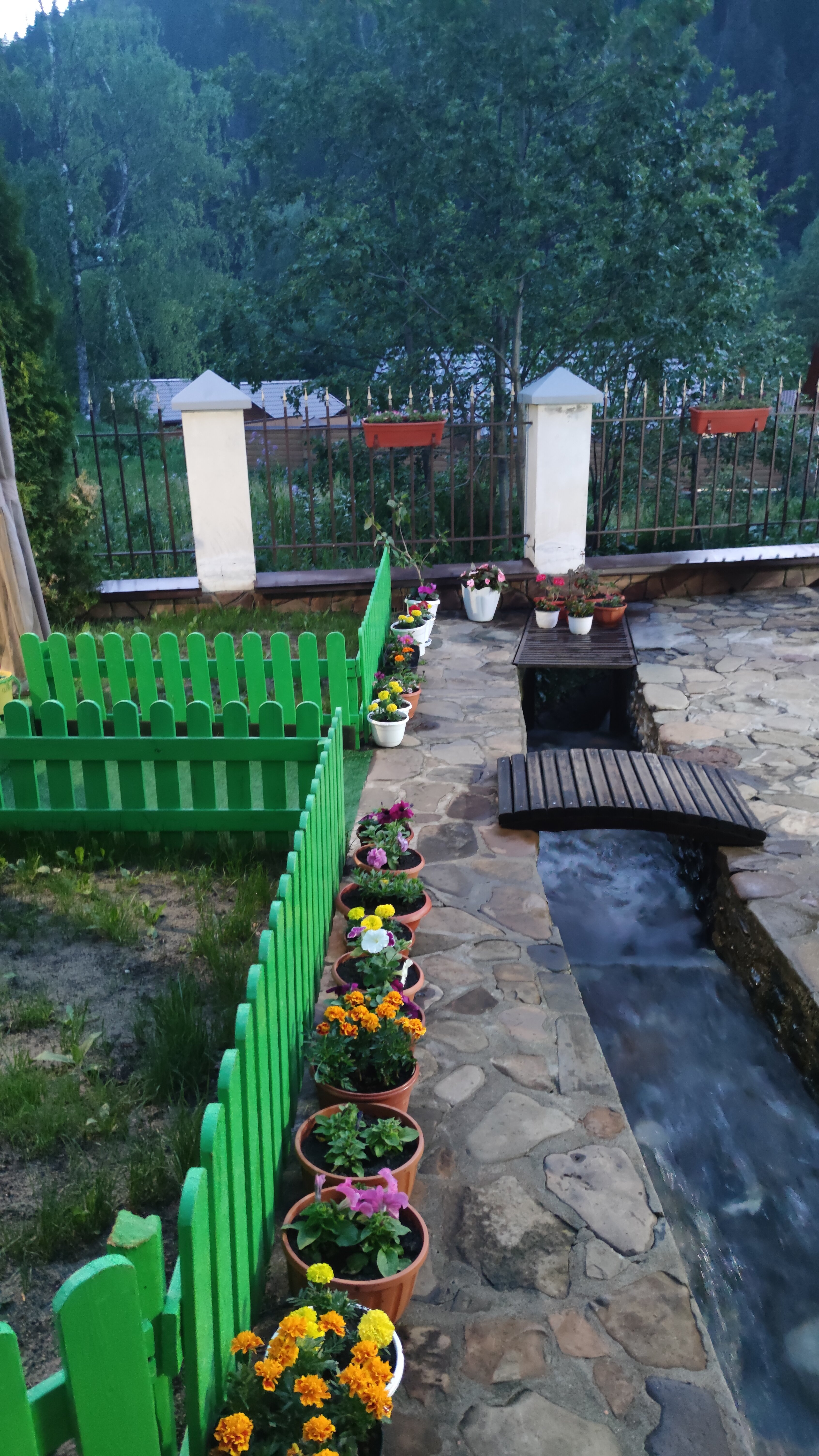 Фото Каприз