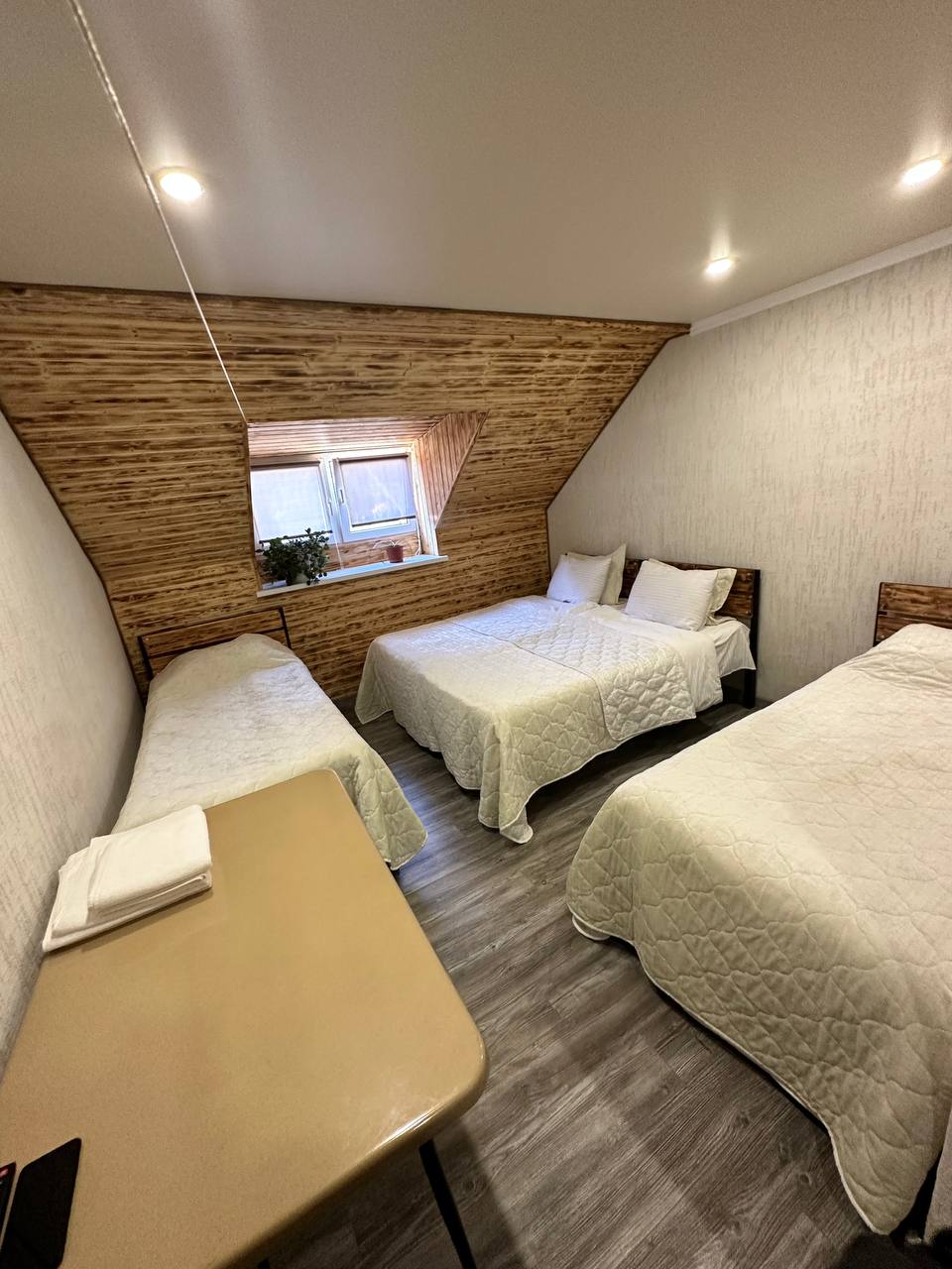 Фото Шафран