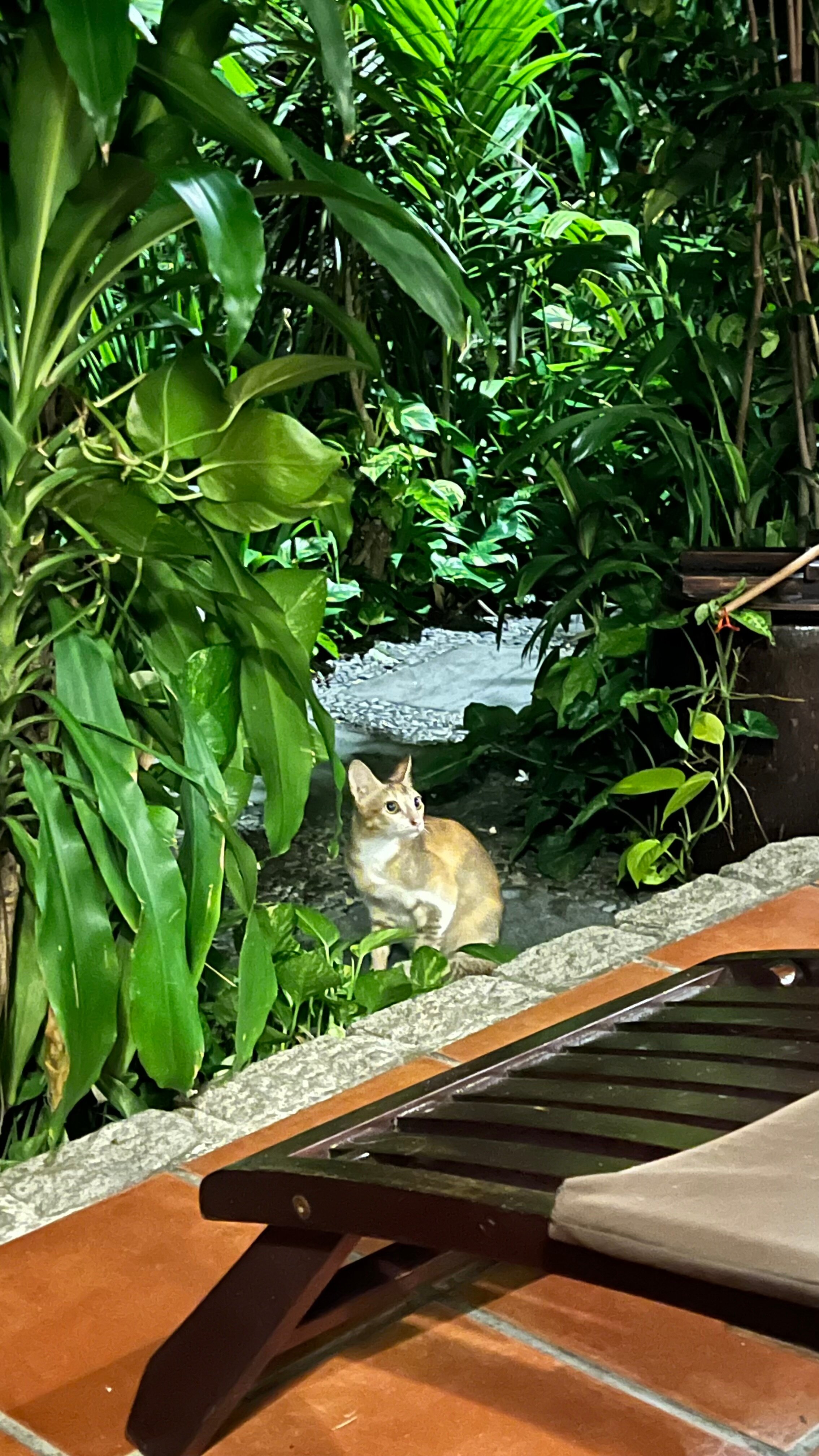 Фото Bamboo Village Beach Resort & SPA