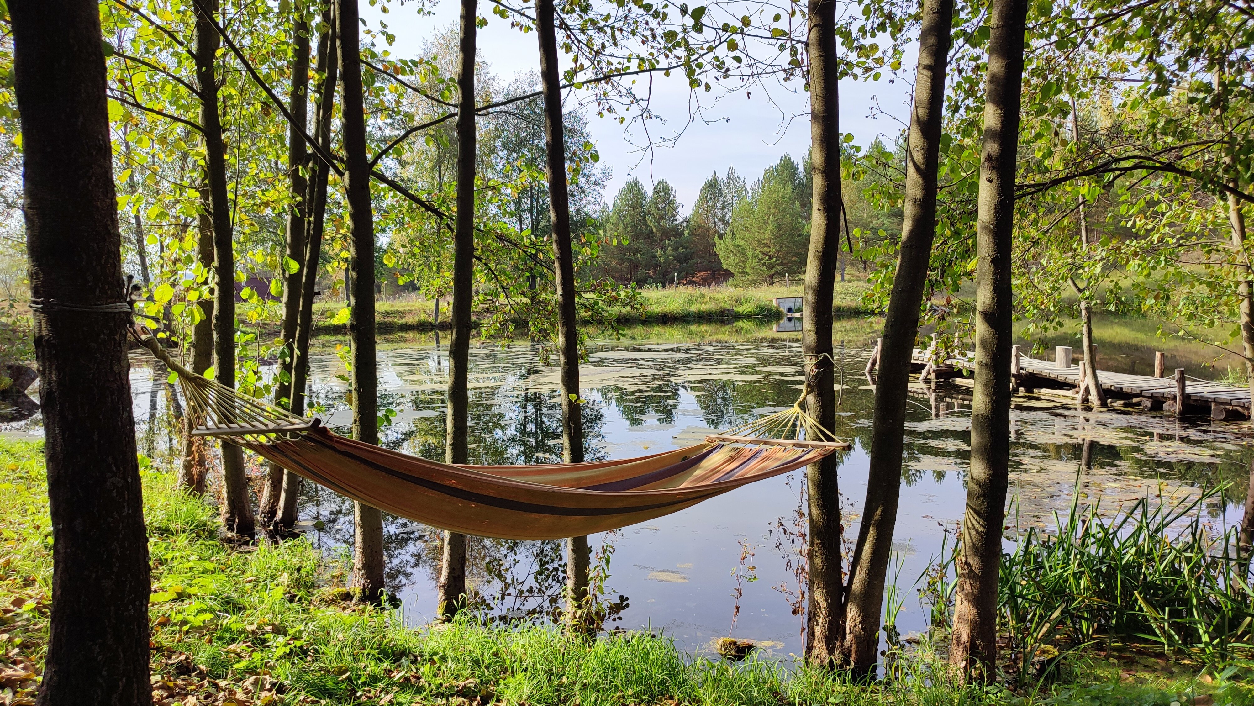 Фото Парк Чёшталей