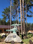 Zabaykalsky natsionalny park (posyolok gorodskogo tipa Ust-Barguzin, ulitsa Lenina, 71) ، الغابات