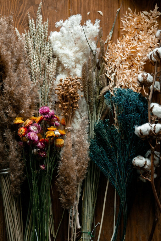 Artificial plants and flowers Herbarium_kzn, Kazan, photo