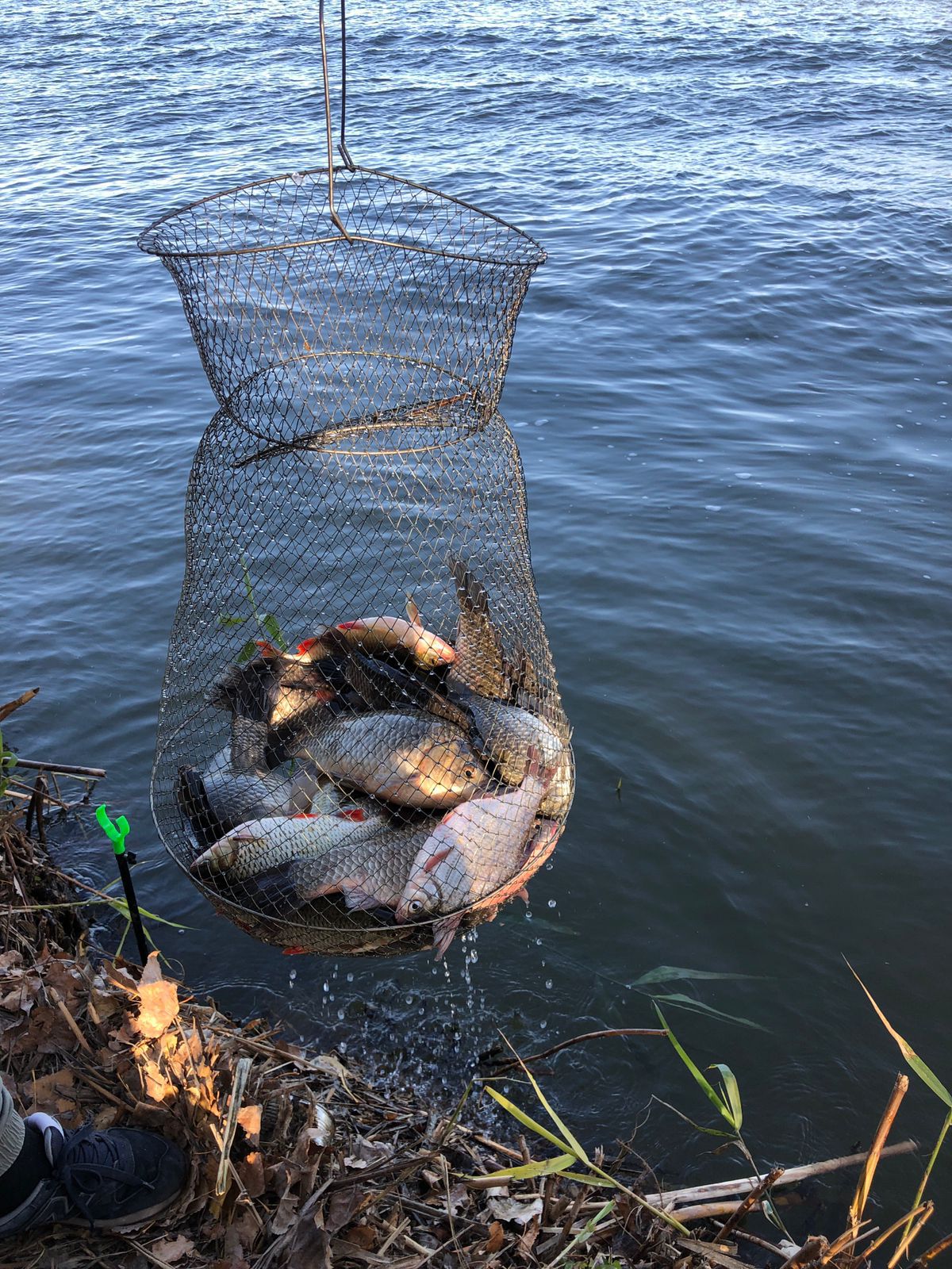 Фото База Каралат