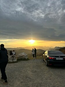 Шафран