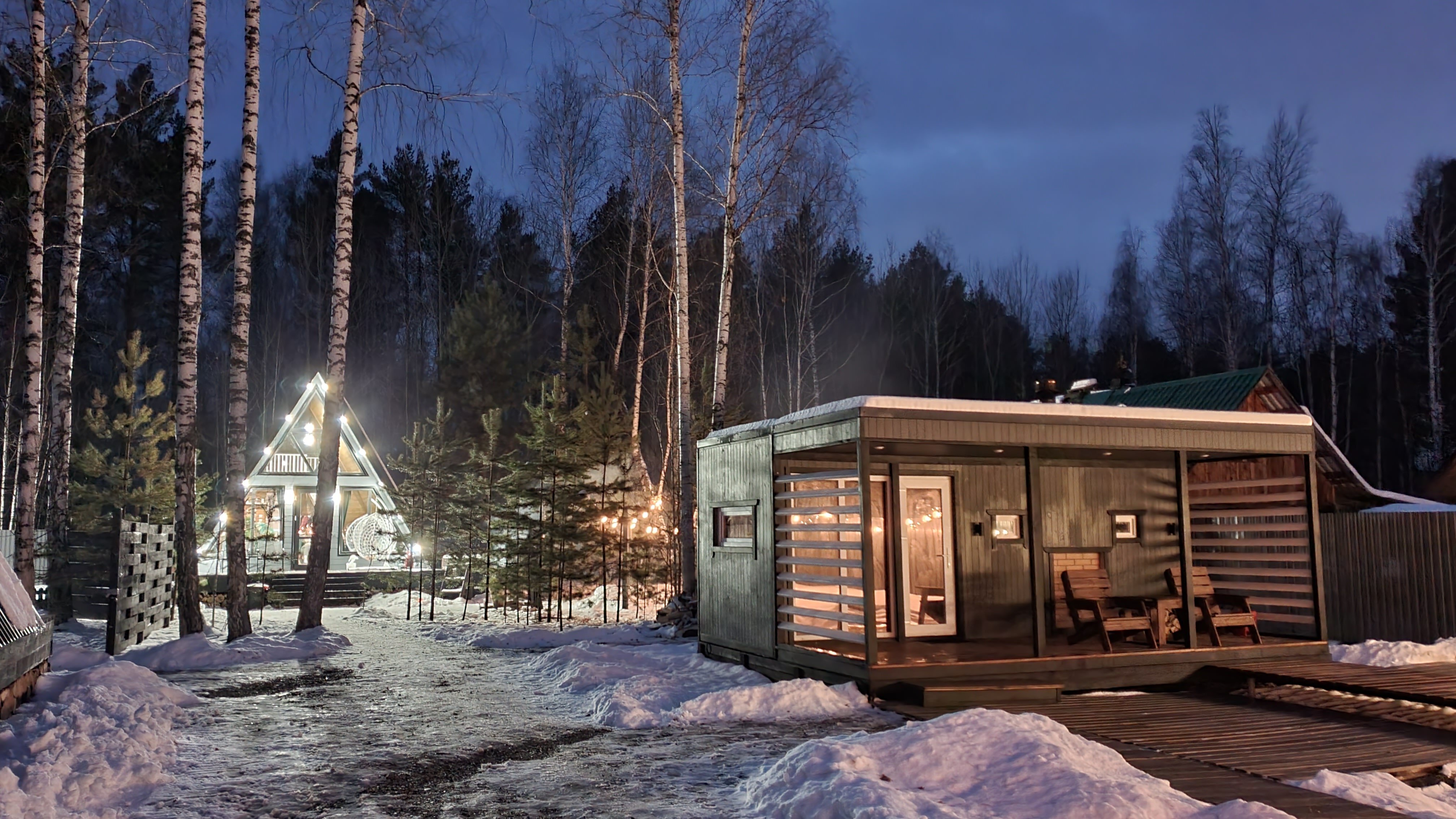 Фото 13 Берёз