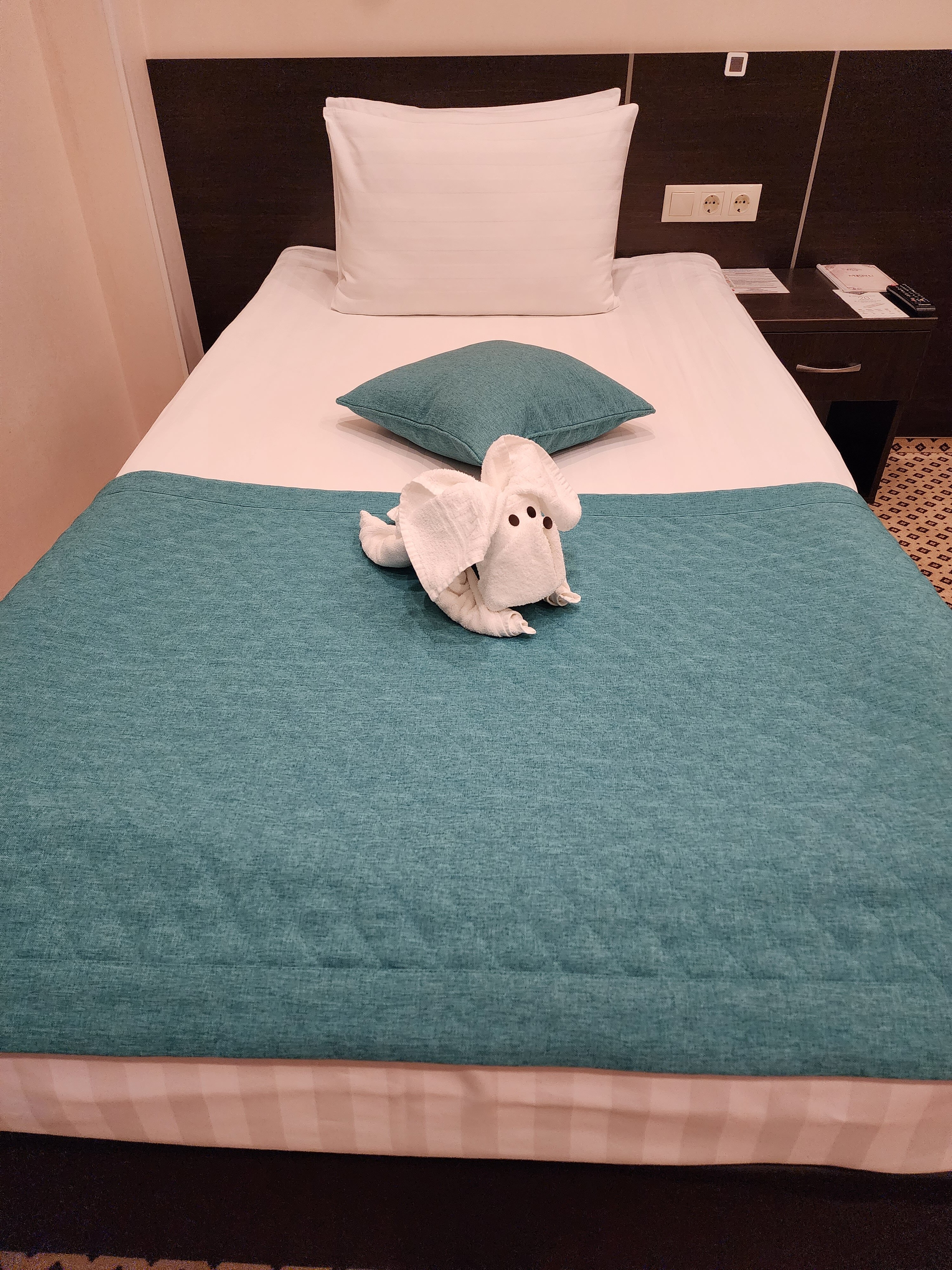 Фото Отель Браун