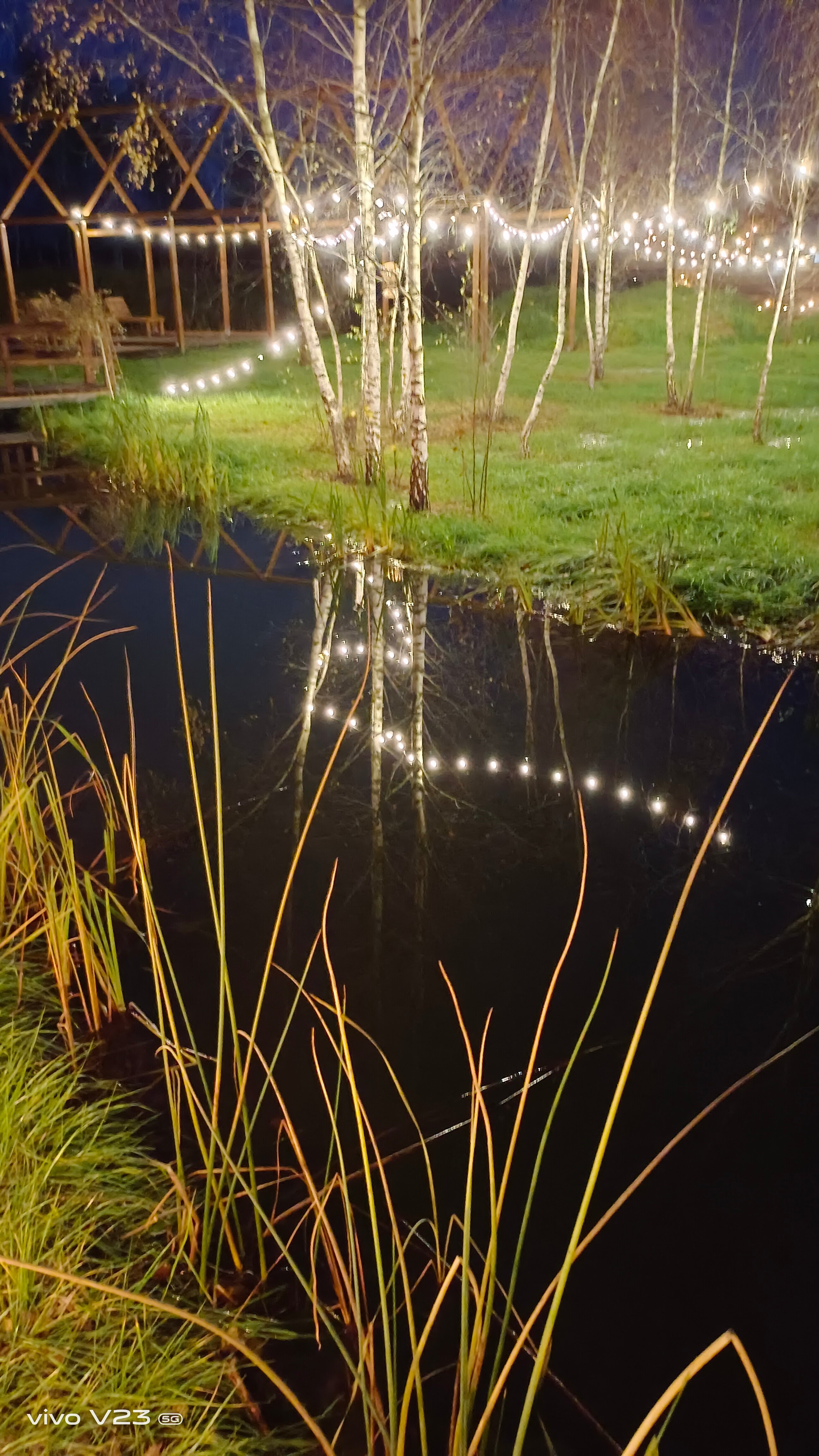 Фото В Поле