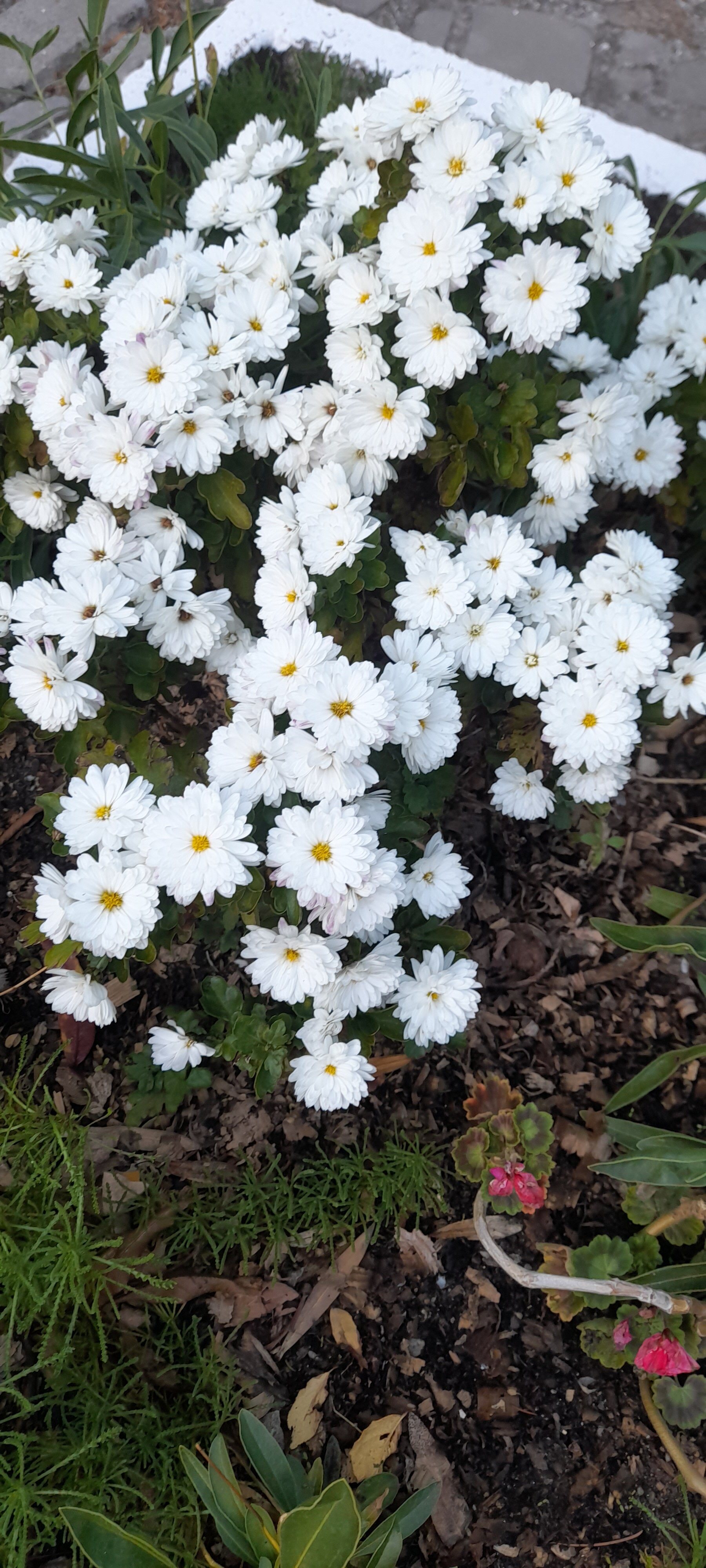 Фото Горный