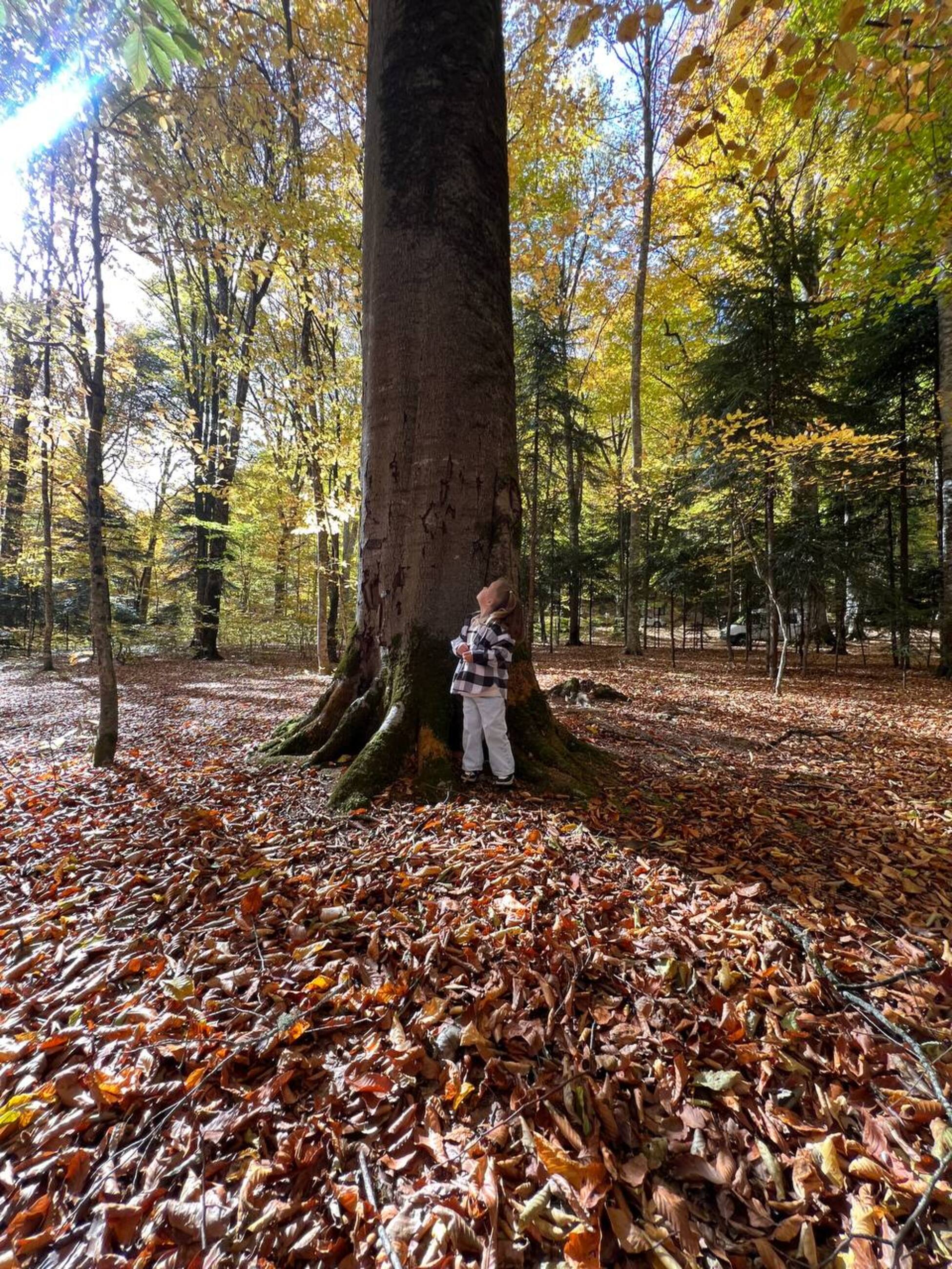 Фото Volkov Family