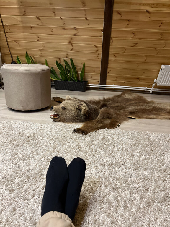 Фото Dream Chalet