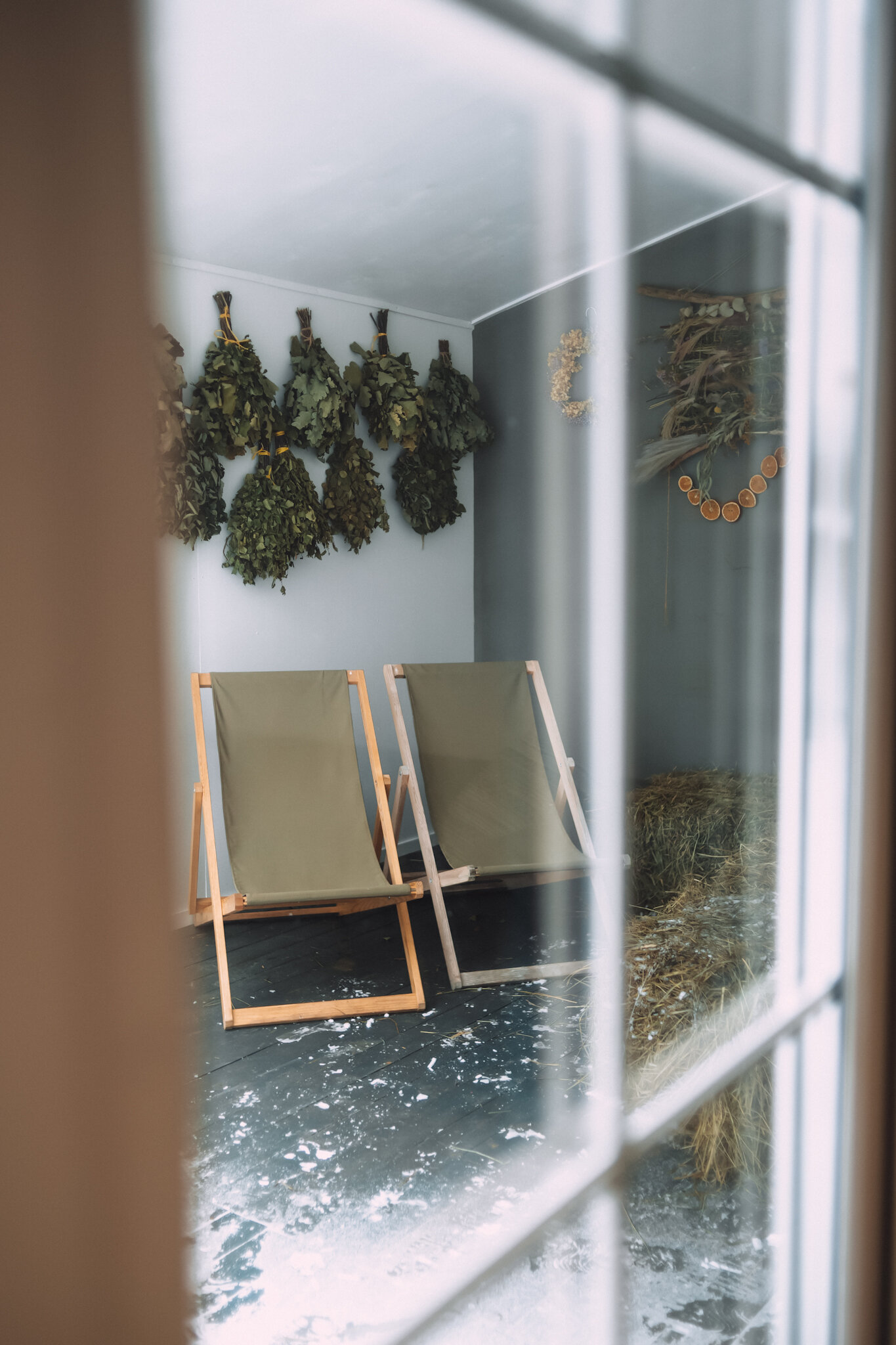 Фото Лес и луга