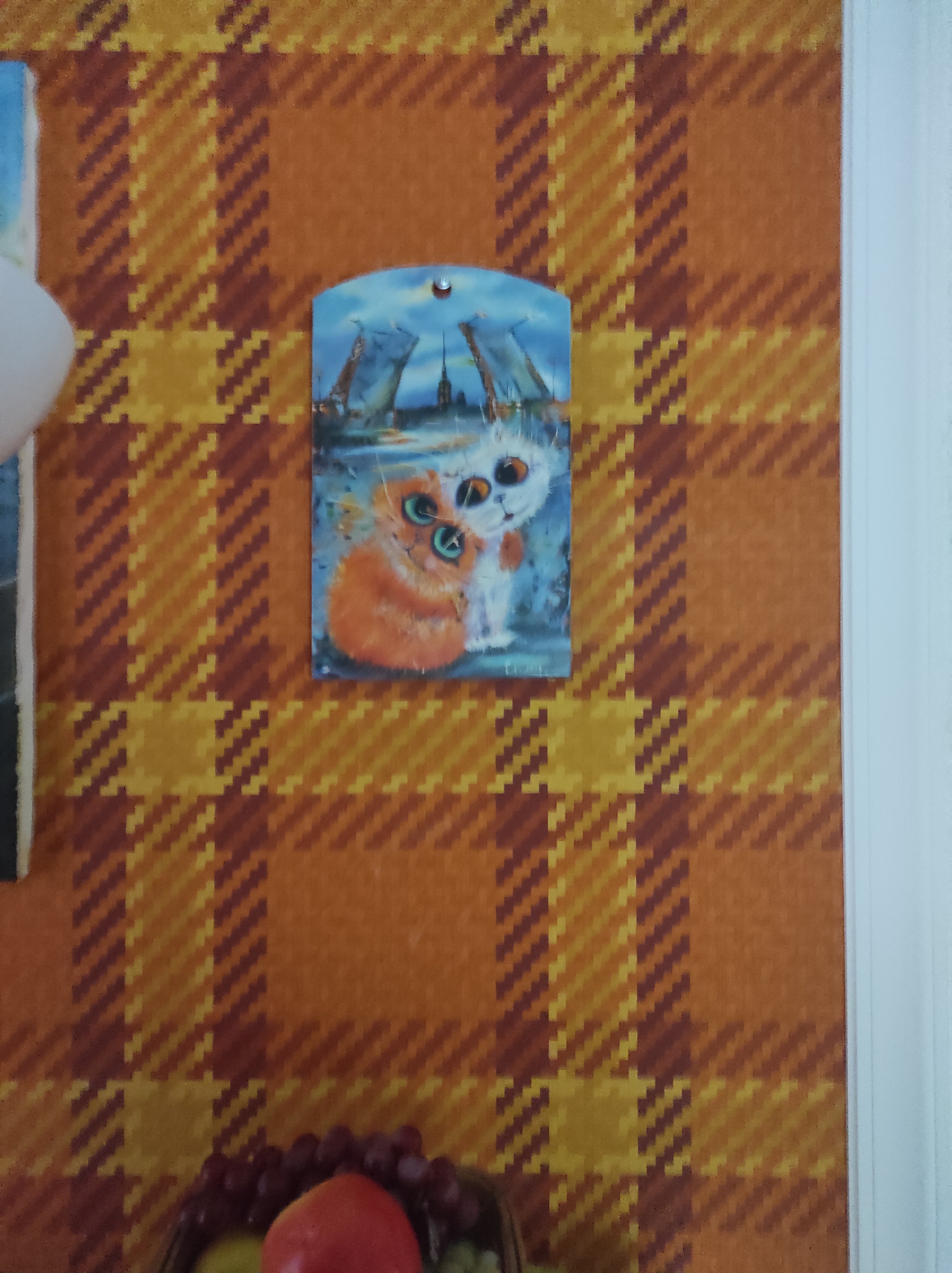 Фото Старый кот