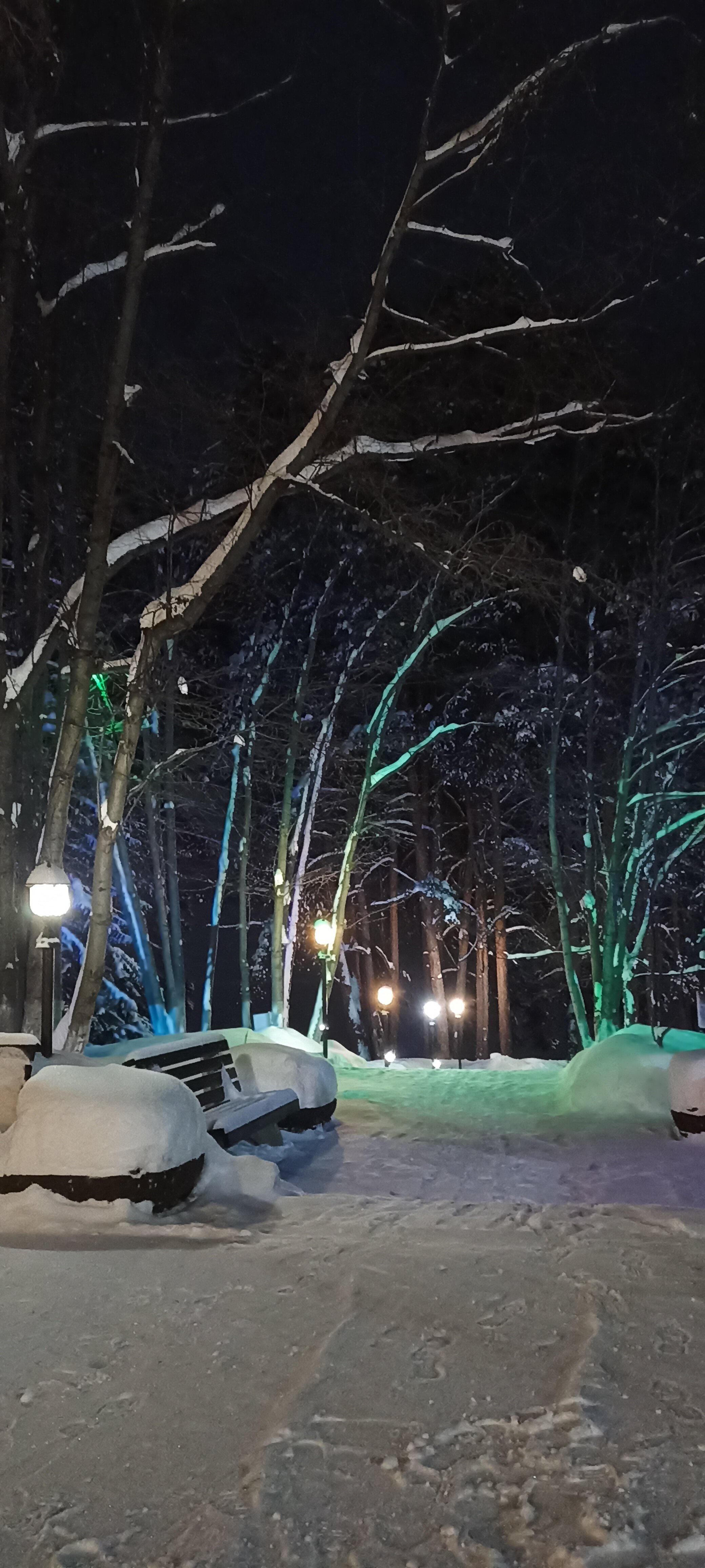 Фото Лесотерапия