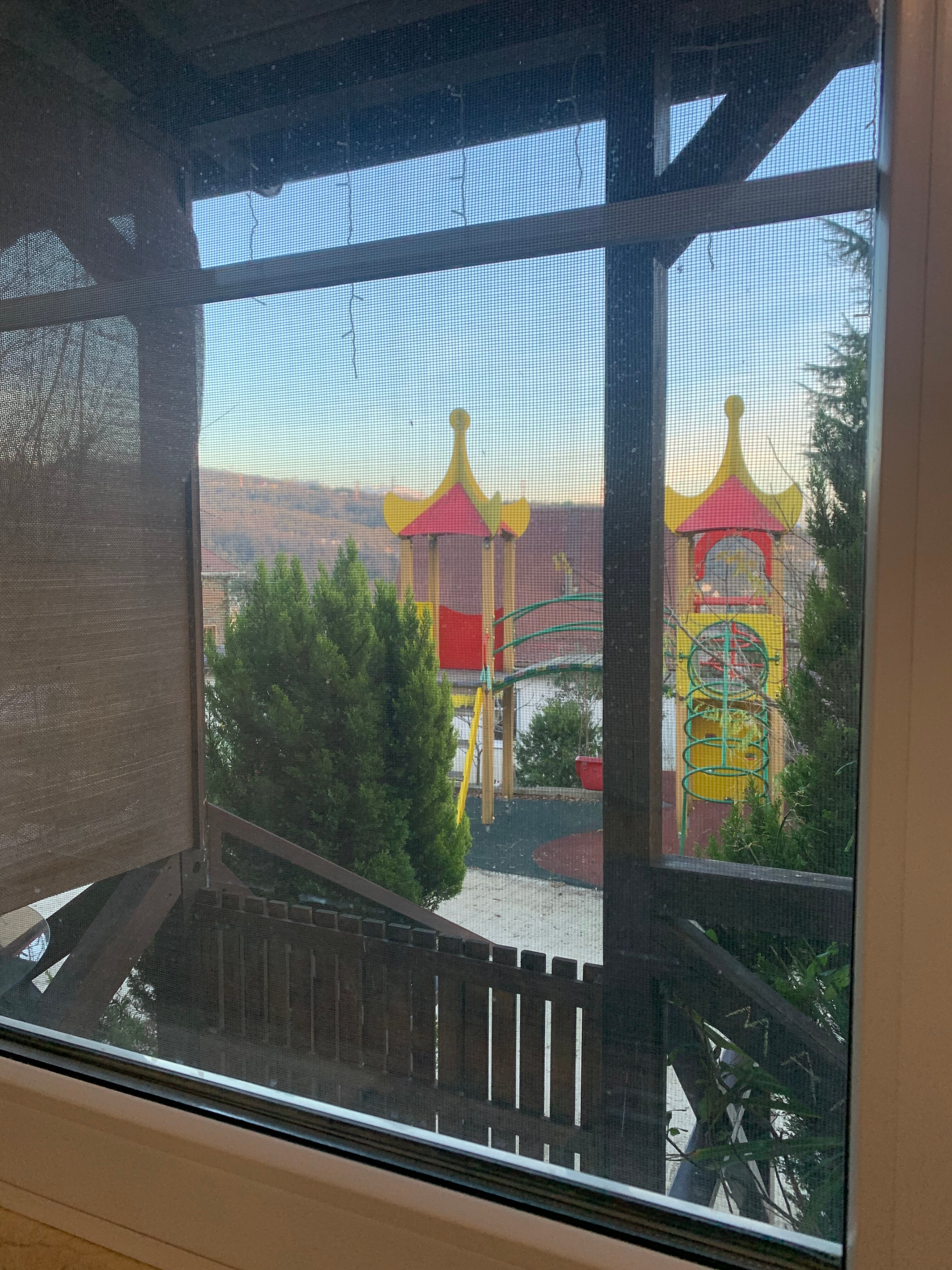 Фото Лесное царство