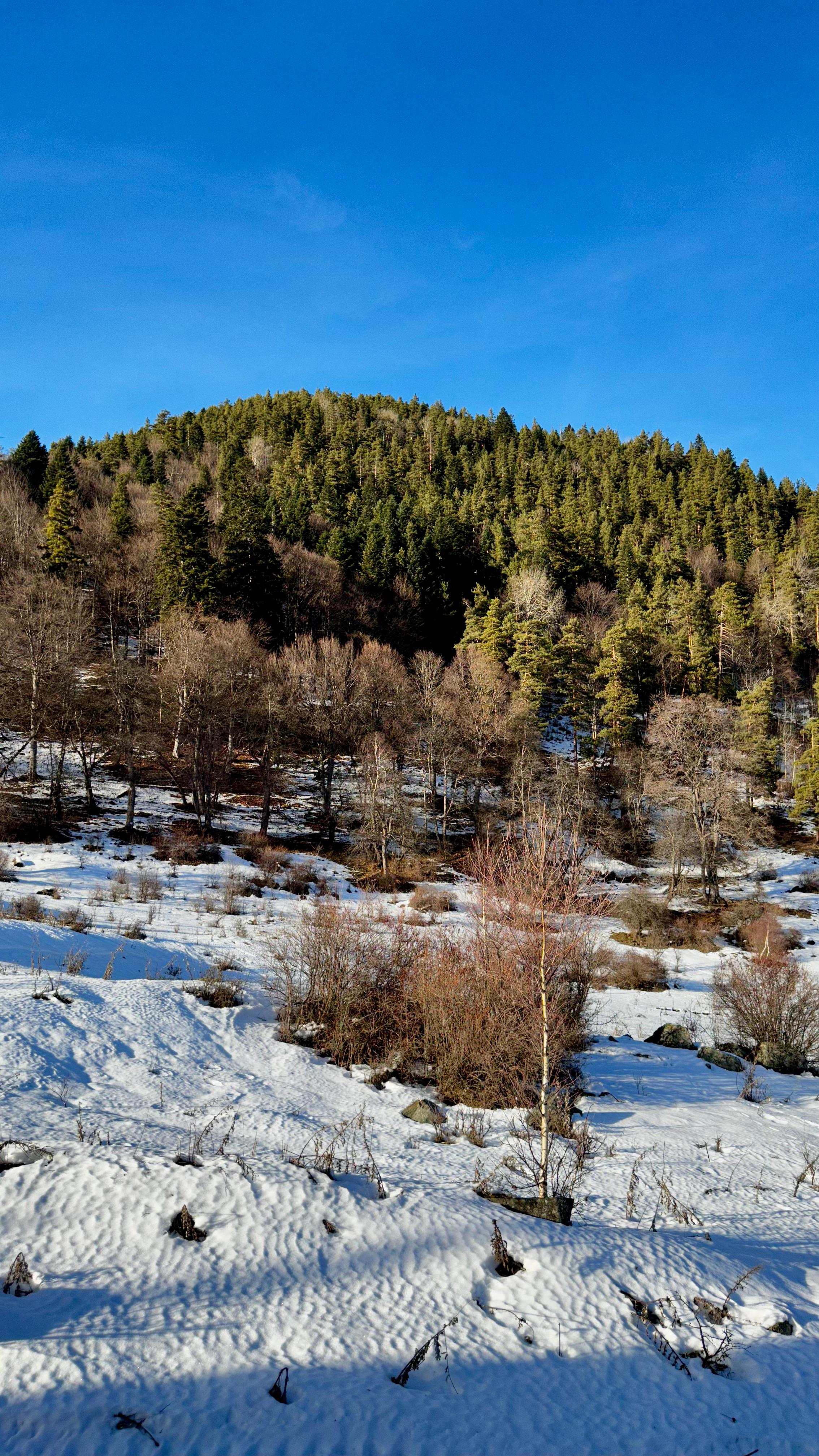 Фото Oscar Club Hotel