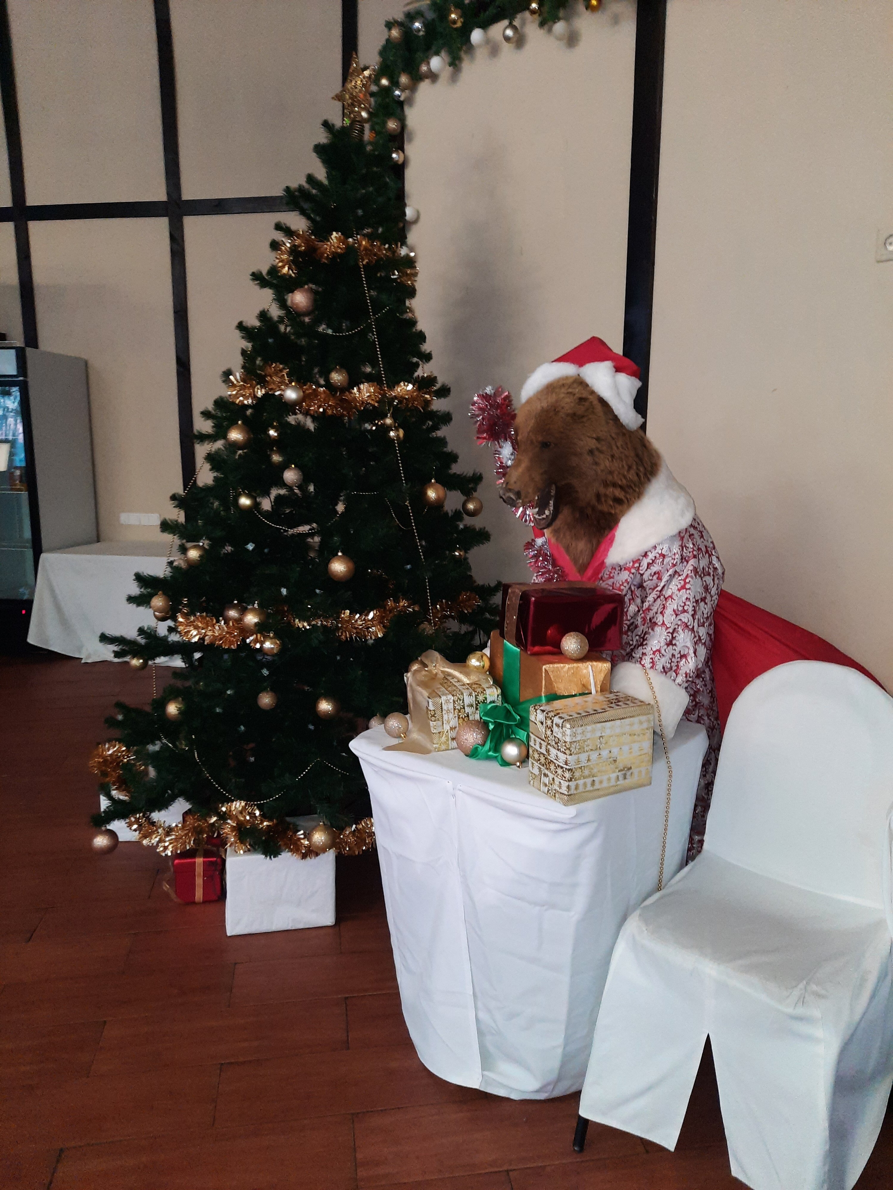 Фото Драгунский ручей