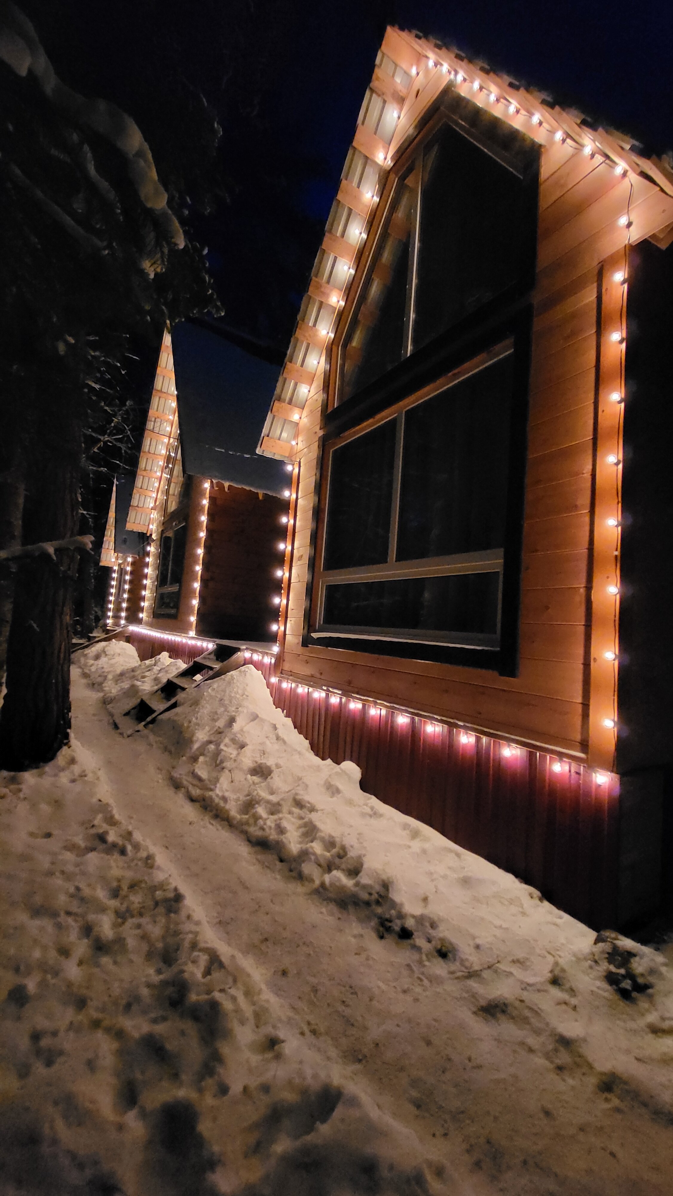 Фото Бия заповедная