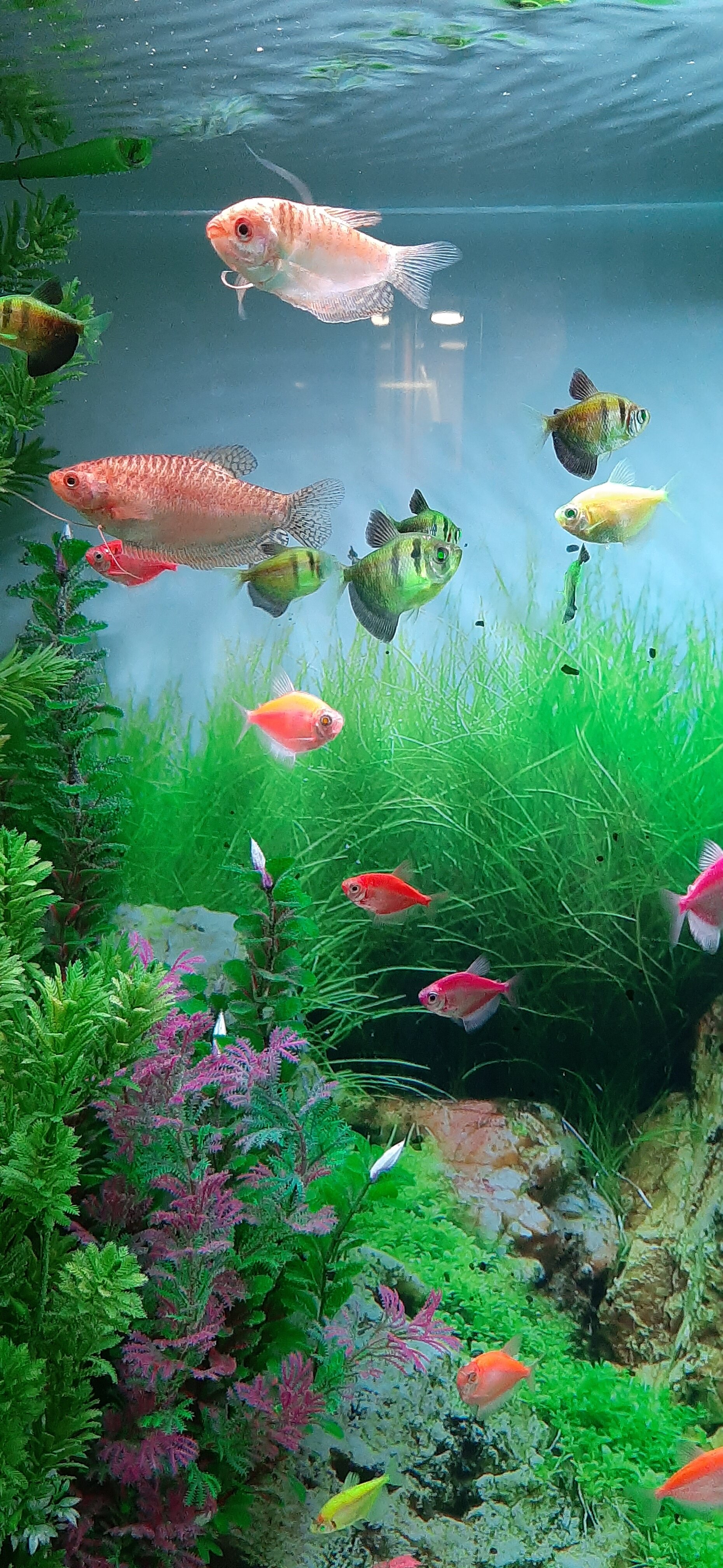 Фото Евразия