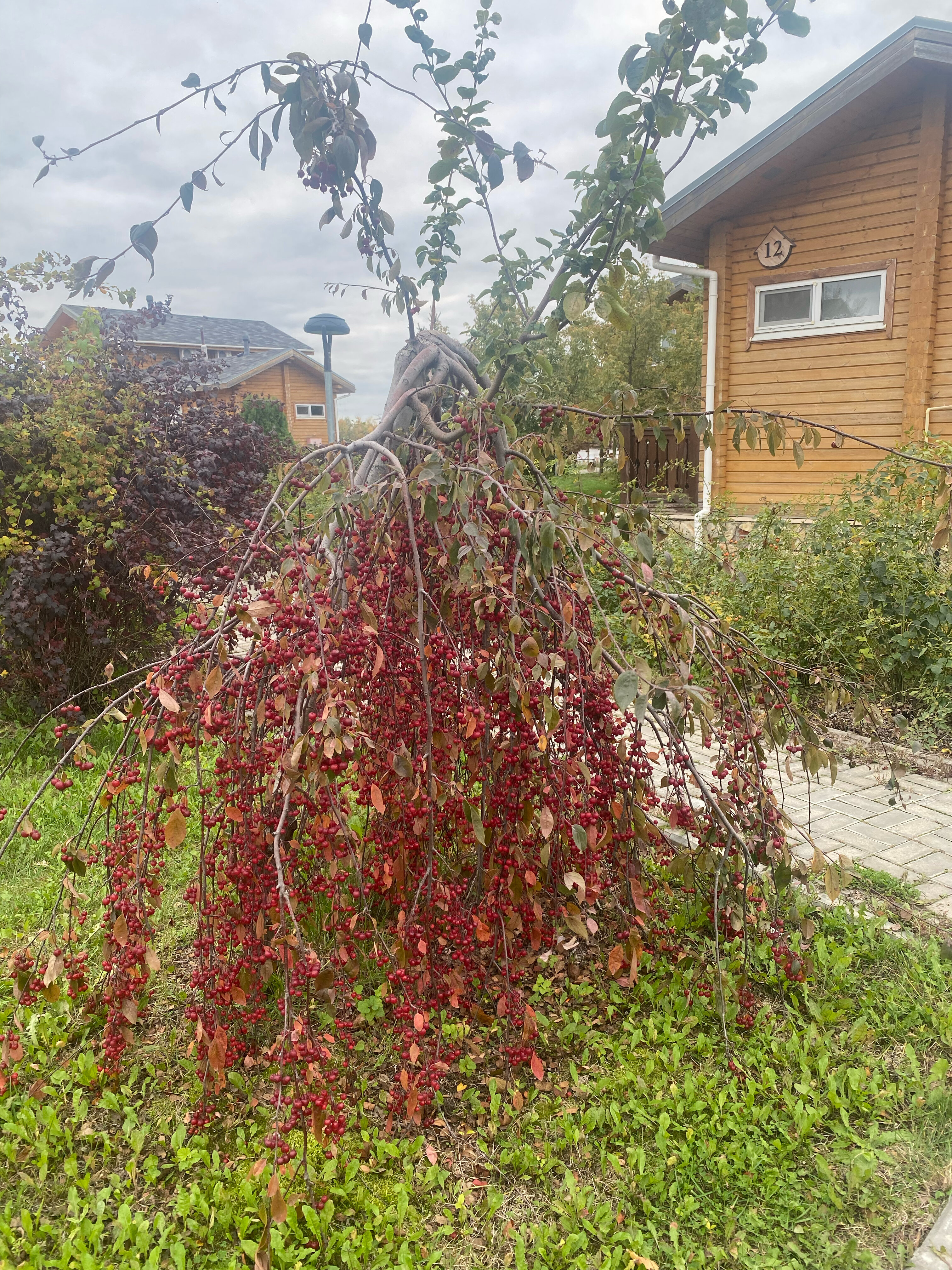 Фото Ветерок