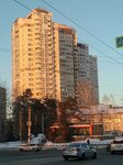 TSZh Edelveys (ulitsa Zalesskogo, 2/1), hoa, junta directiva de snt