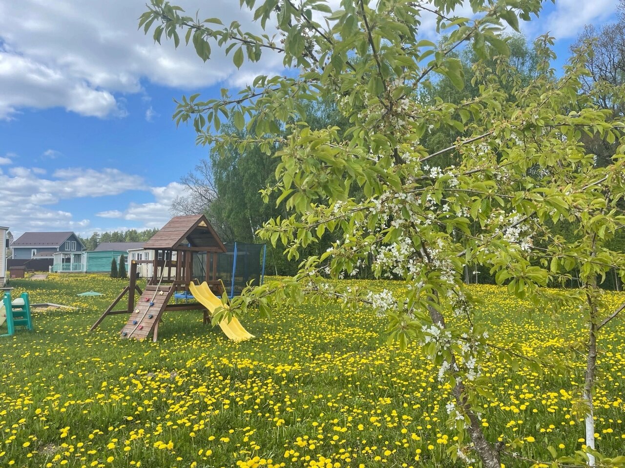 Фото Солнечный дом