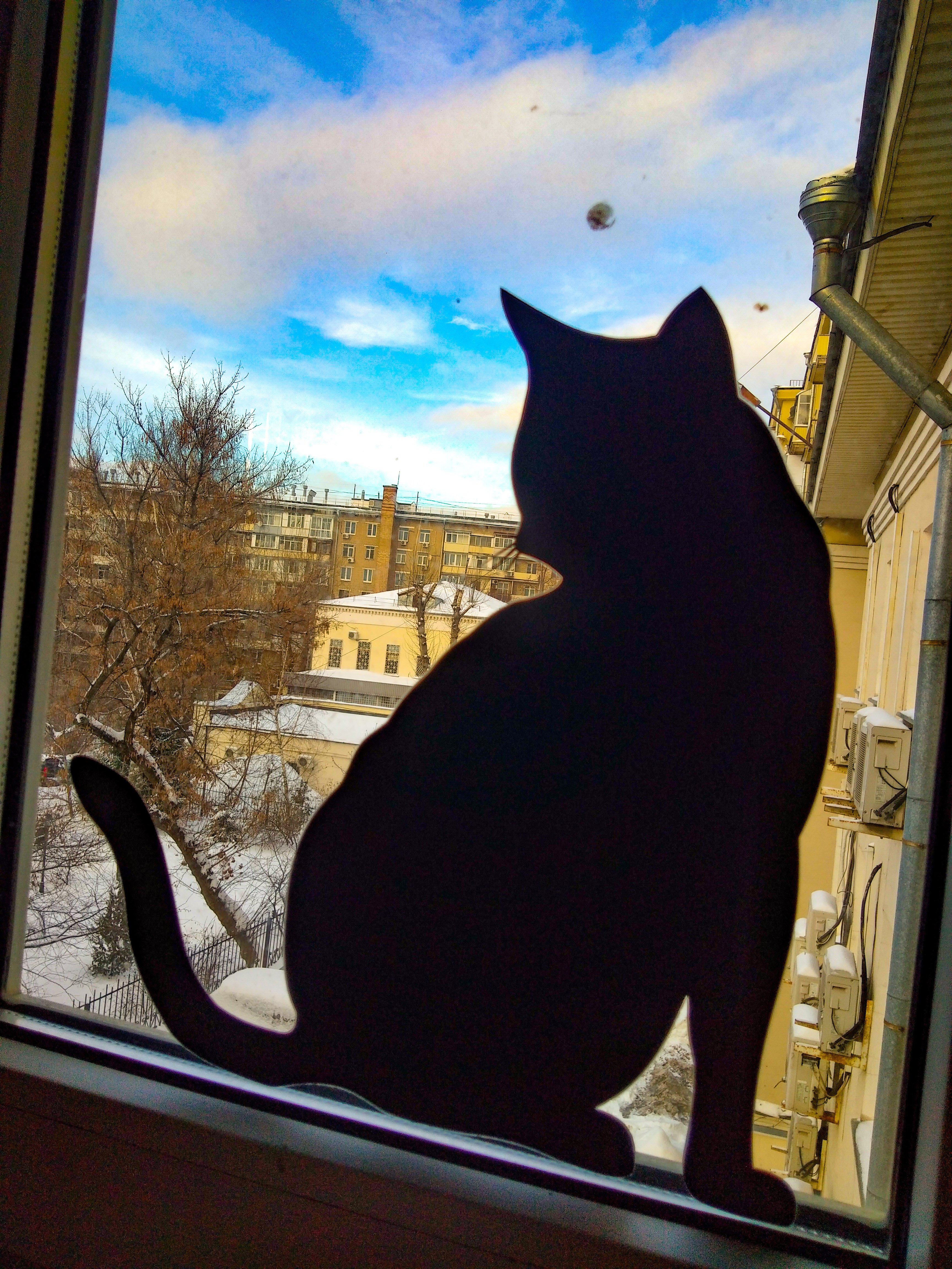 Фото City Garden